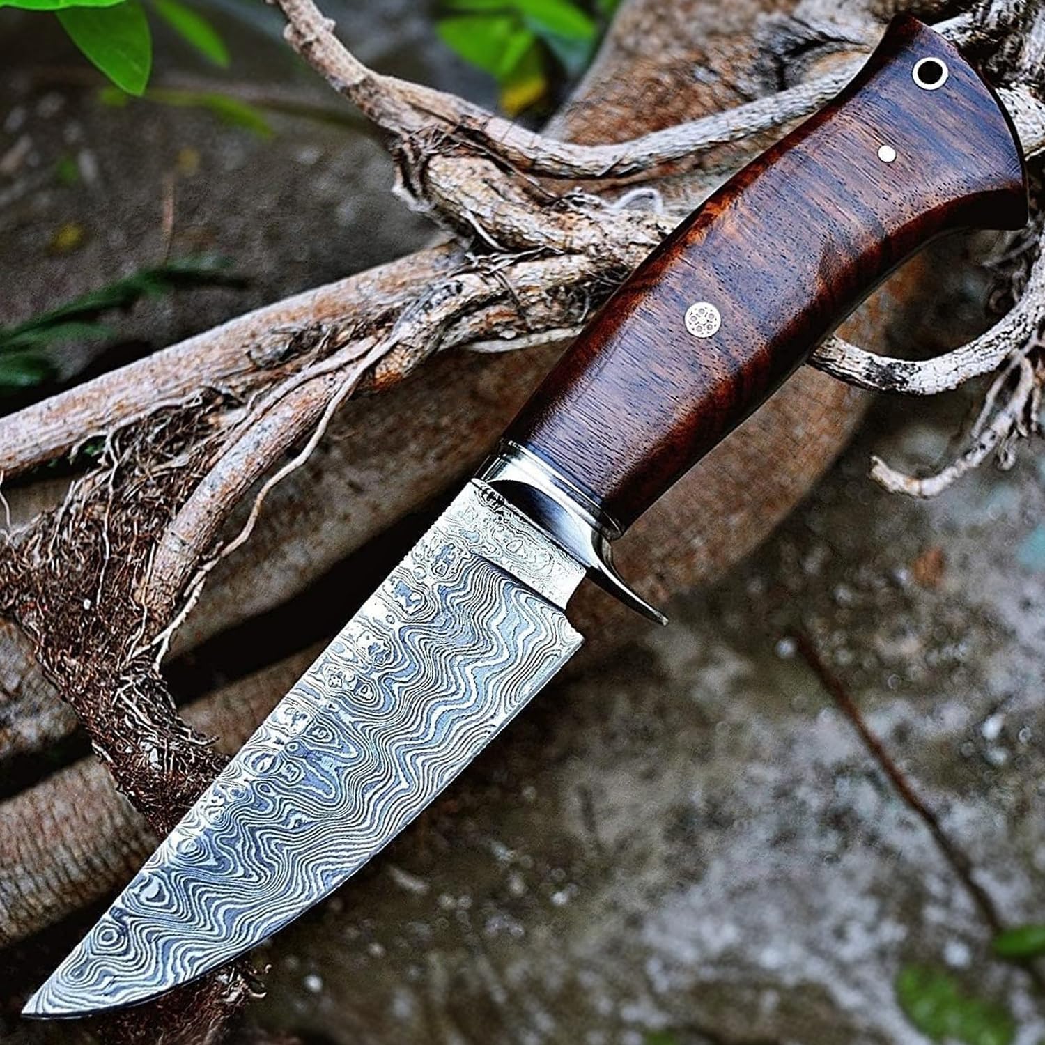 BIGCAT ROAR Handmade Damascus Hunting Knife - Bushcraft Fixed Blade Hunting Knife with Sheath and Walnut Wood Handle - 10″ EDC Skinning Knife - California