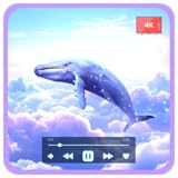 Tranquilo Flowscreen Apps