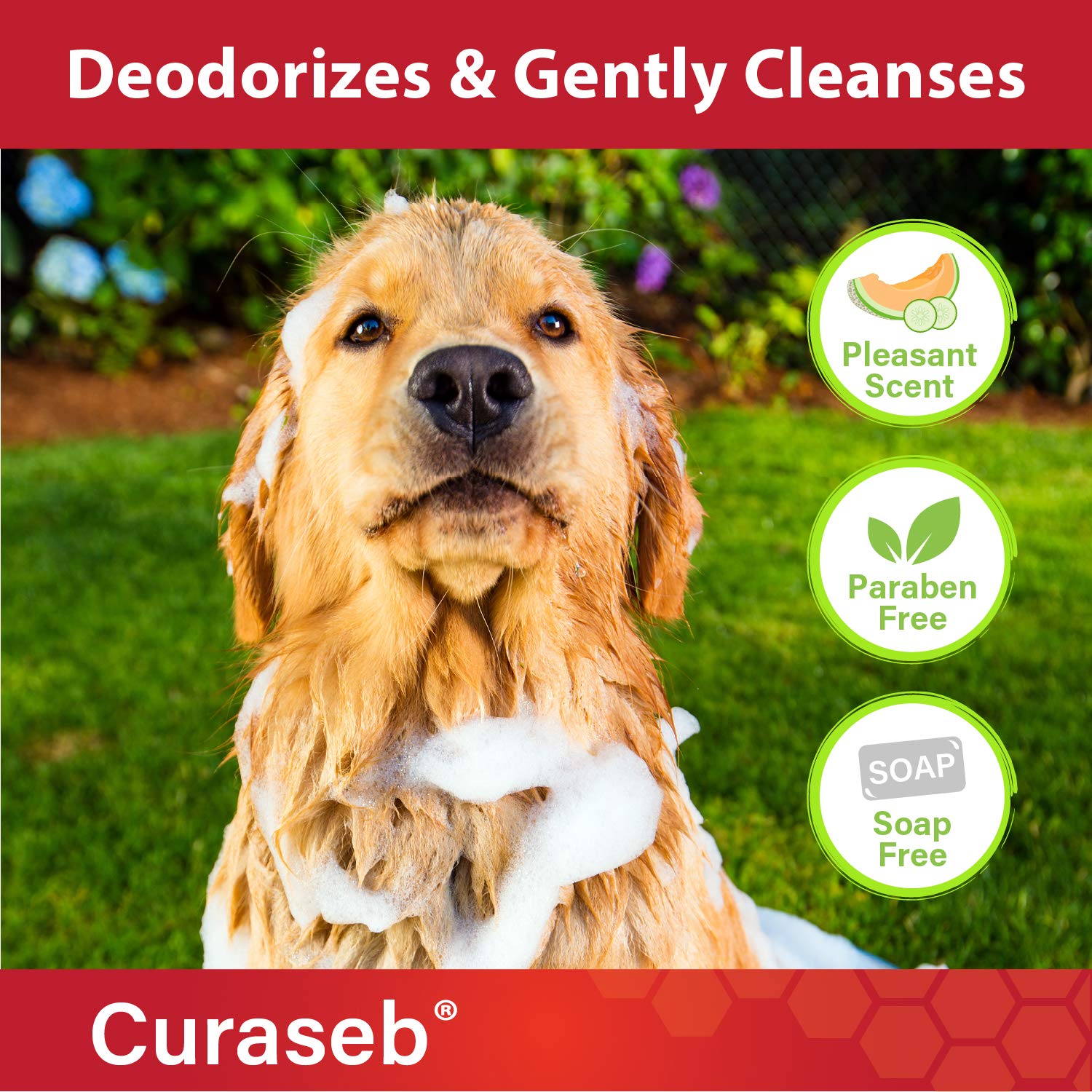 Buy (470ml) Curaseb Antifungal & Antibacterial Chlorhexidine Shampoo