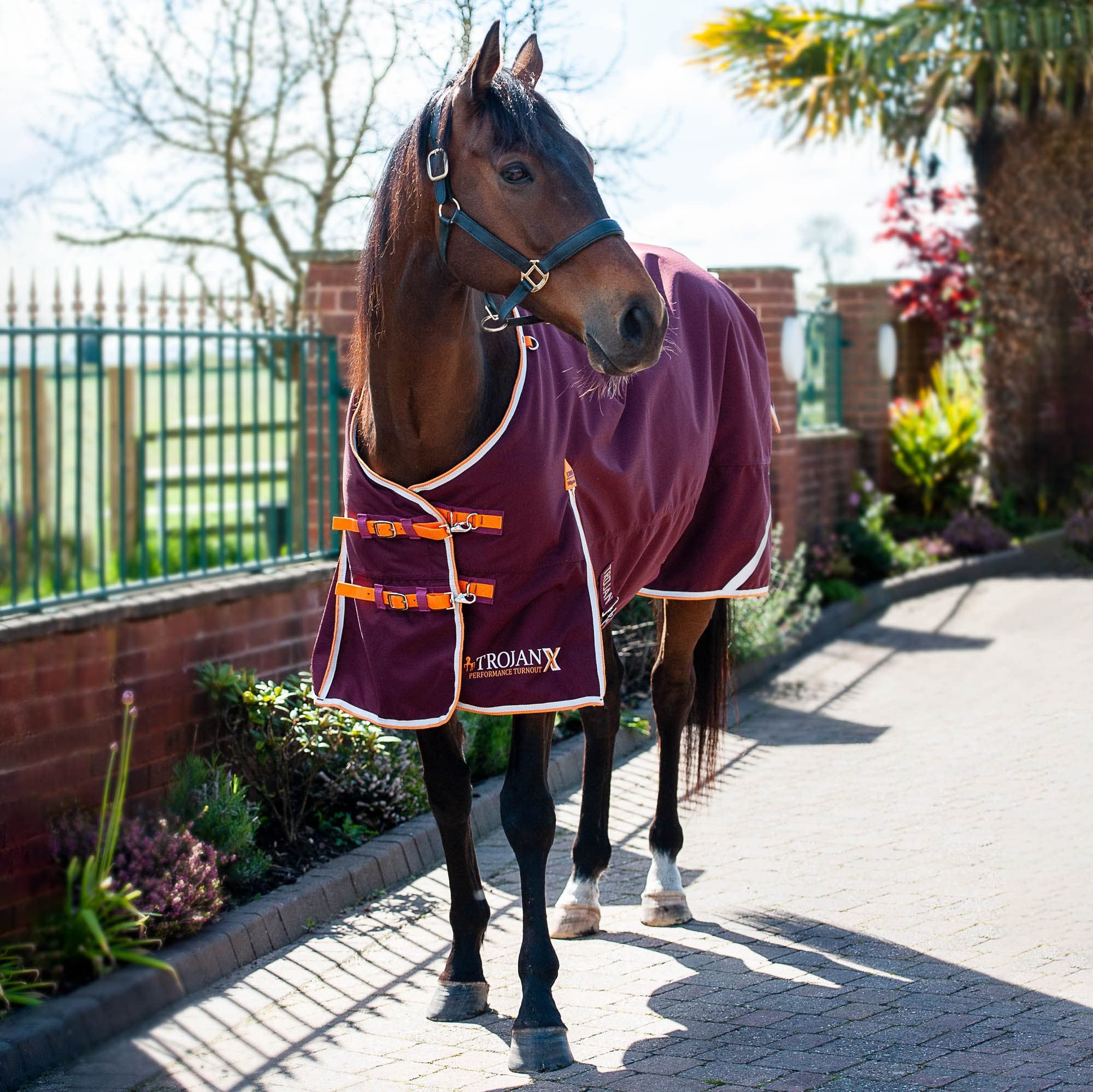 Gallop Equestrian Gallop Trojan 100g Xtra Outdoor Horse Turnout Rug 1200 Denier Lightweight (5'6'', Burgundy/Orange)