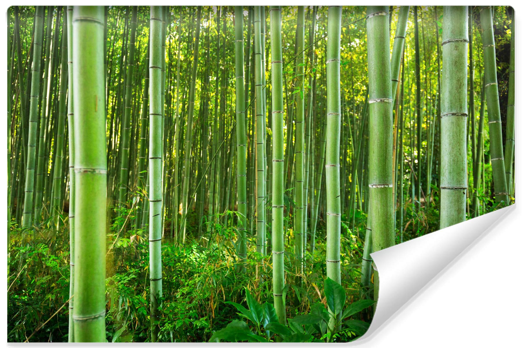 Samoprzylepna fototapeta lasu, naturalny bambus, tropikalna, egzotyka, 208 x 146 cm, nowoczesna tapeta XXL Flora, szczebelki, do salonu, sypialni, biura, korytarza, tapeta ścienna szer. 208 x wys. 146
