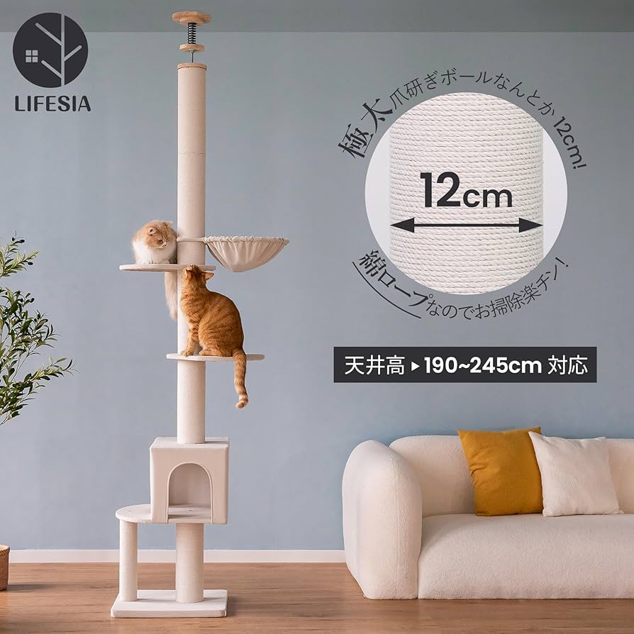 天然素材の琴柱12本と1本欠けありと猫足 天然素材の琴柱12本と1本欠けありと猫足 琴柱 筝柱