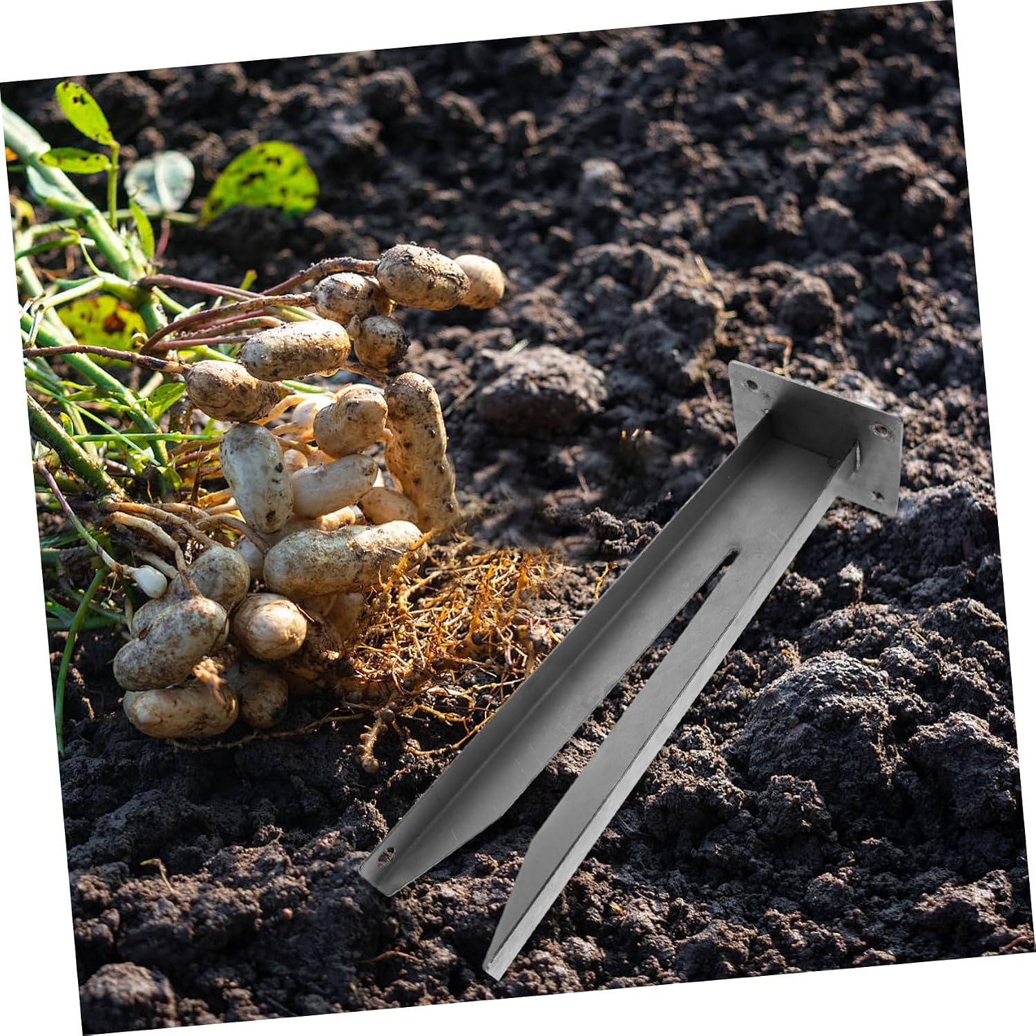 Farm Picker Tool Durable Peanut Device for Efficient Harvesting Metal Construction for Performance Essential Farm Supply for Peanut Farmers