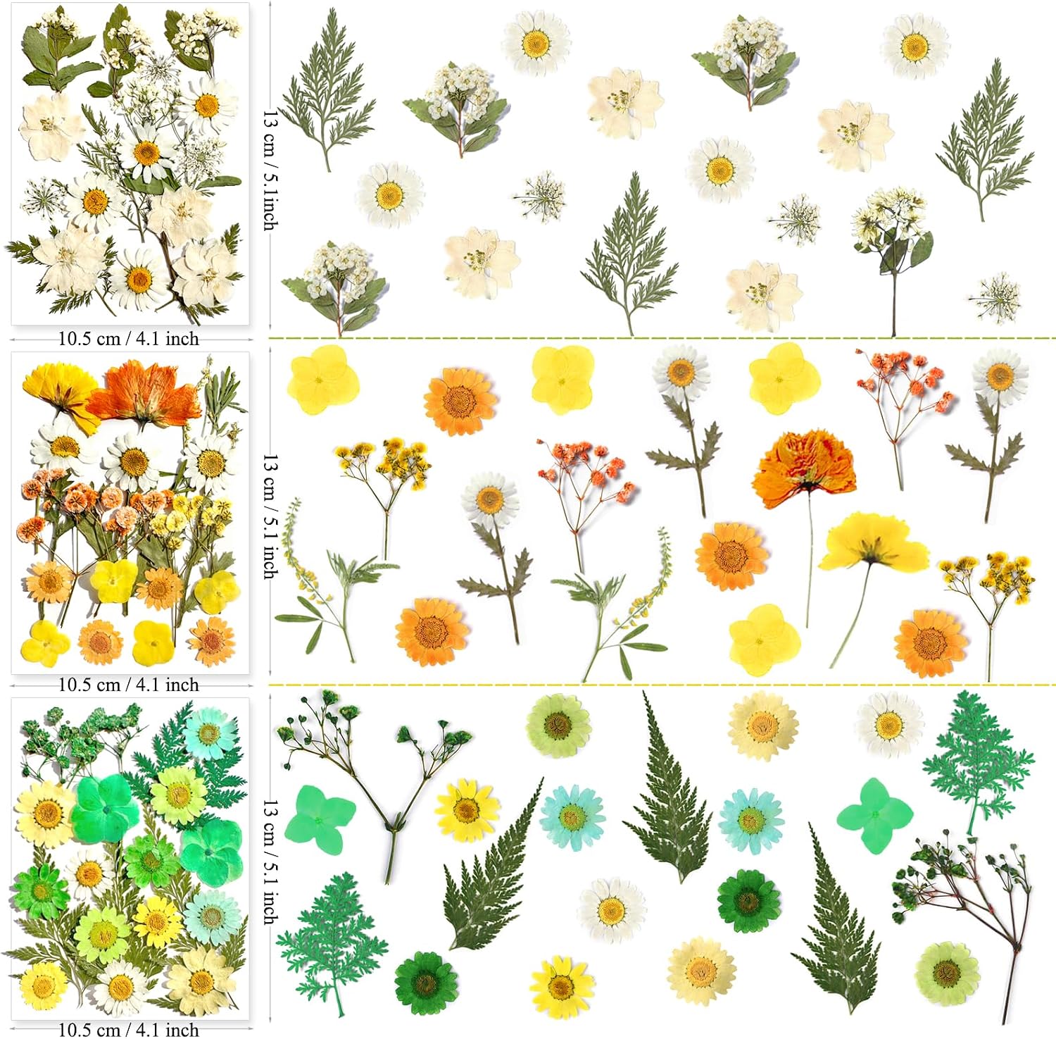 MIKIYA 182Pcs Dried Pressed Flowers for Resin Molds, Assorted Real Natural Bulk Dry Floral Leaves for DIY Art Crafts, Epoxy Jewelry, Candle, Soap Making, Nails Decors Gifts