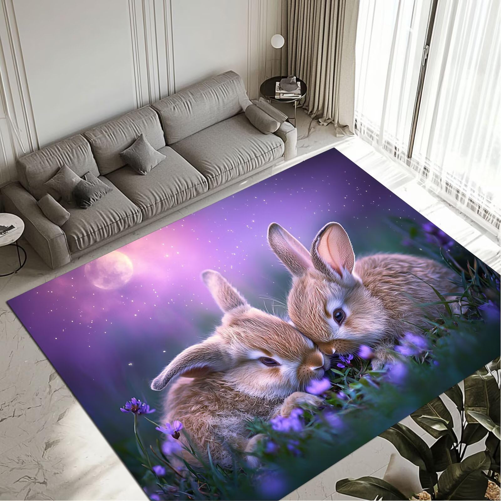 Tapis Rabbit 50x80cm lavable et antidérapant pour entrée et chambre
