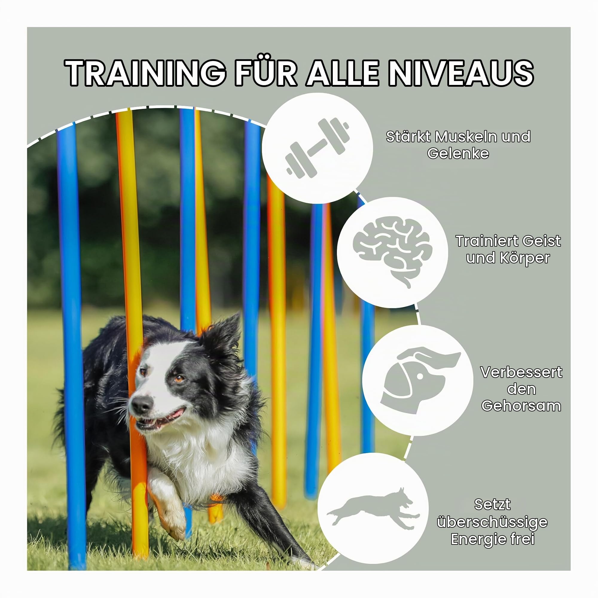 TRIXIE Hunde Agility Slalom-Set mit 12 Stangen – für Einsteiger & Profis | Fördert Geschicklichkeit und Tempo beim Slalomlauf – schneller Auf- und Abbau, ideal für das Training im Garten