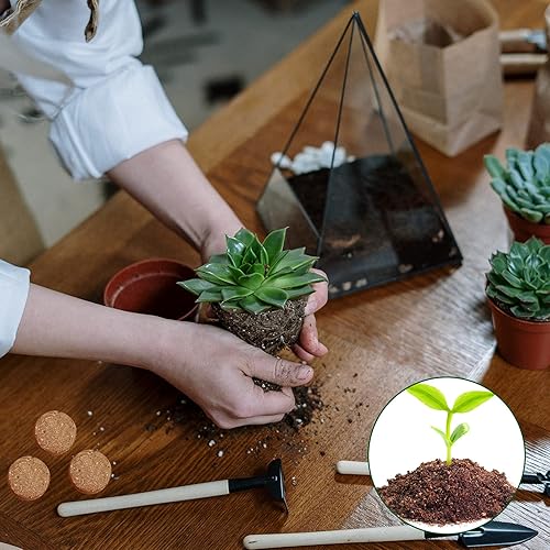 Miniatura 12 de ZeeDix Pellets de fibra de coco orgánico para macetas, 150 unidades de 1.181 in comprimida de fibra de coco para iniciación de semillas de coco