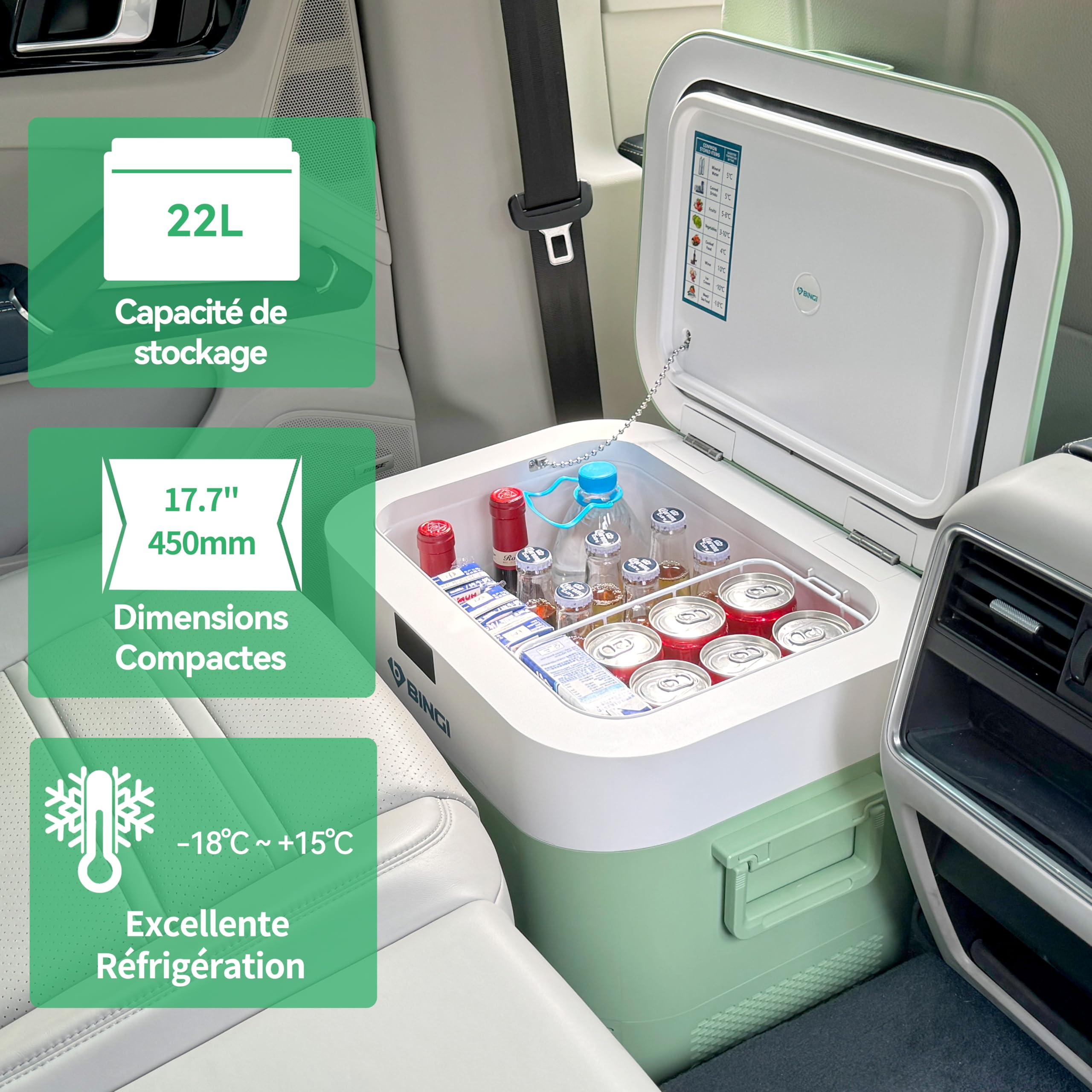 BINGI 22L Portable Electric Cooler Box : Amazon.com.be: Sports