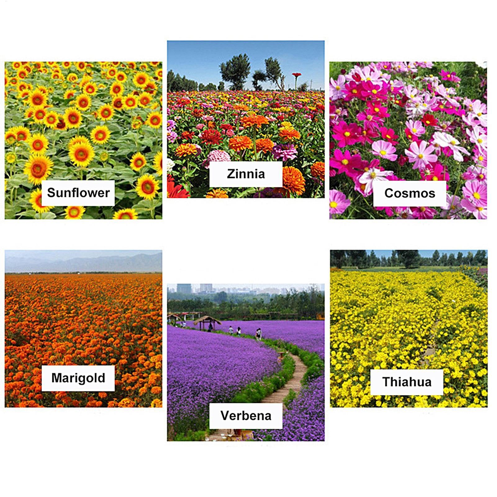 2 unidades de tierra para estanques para plantas acuáticas, tierra para plantas de estanque, lodo de estanque de , medios de crecimiento de plantas para , suministros de jardín