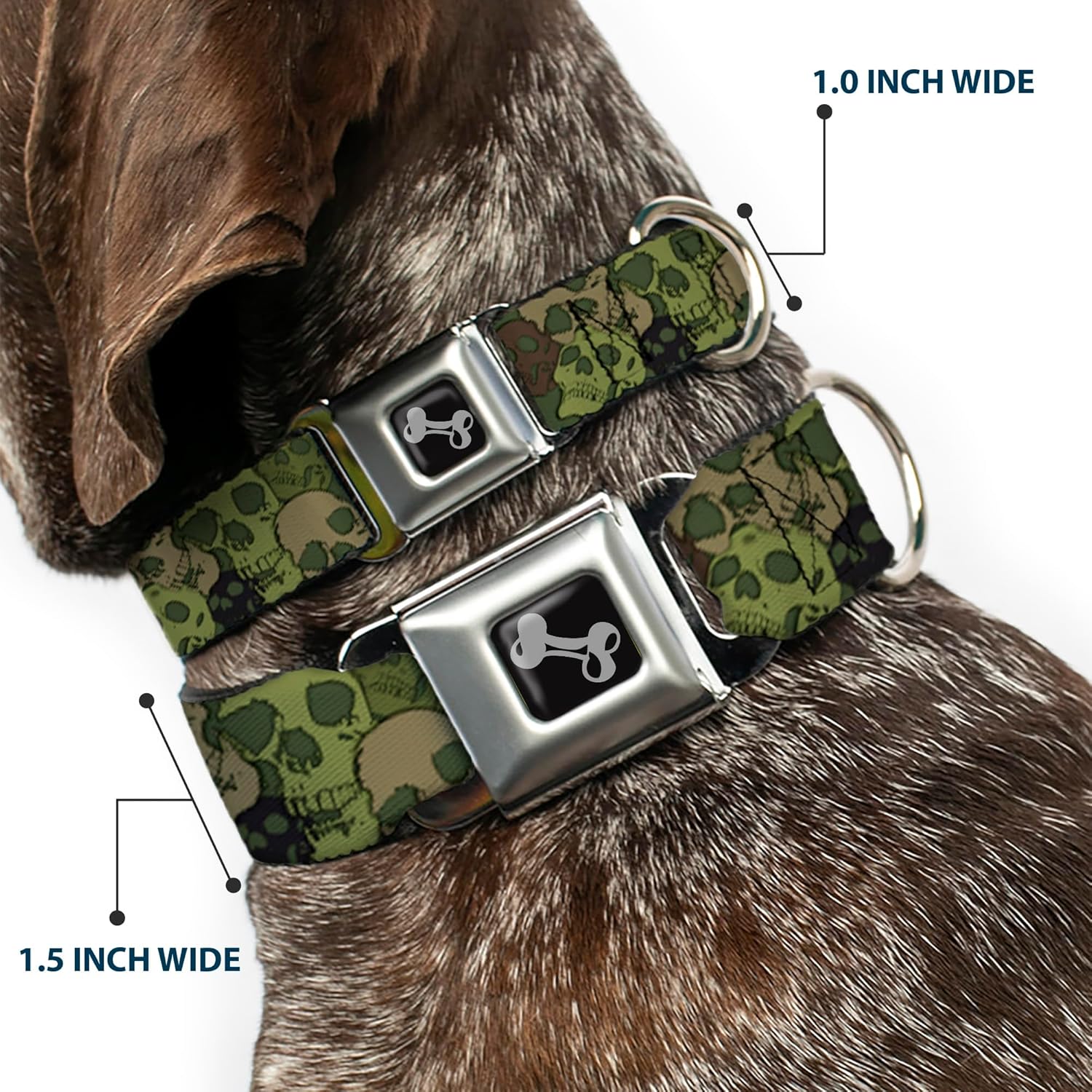 Dog Collar Seatbelt Buckle Camo Olive Skull Yard 9 to 15 Inches 1.0 Inch Wide