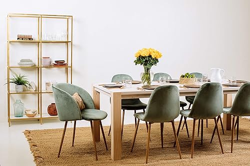 Miniatura 9 de Benchmark Bouquets 24 rosas de belleza ruborizadas de alta calidad, jarrón de vidrio incluido, regalo de flores frescas para cumpleaños,