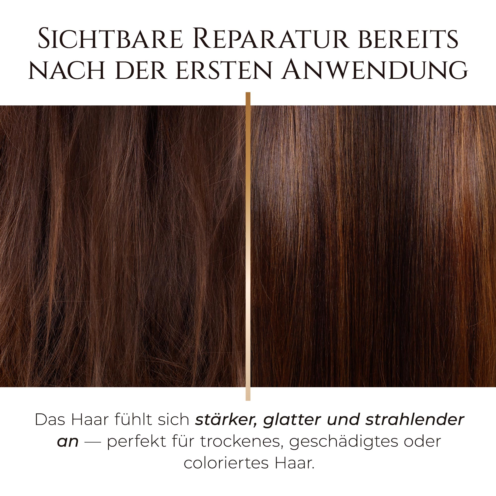 Hadat Intensive Repair Shampoo – Premium Pflege für Geschädigtes & Coloriertes Haar – Mit Moringa-Öl, Ceramiden & Hyaluronsäure – Niedriger Sulfatgehalt – Salonqualität (800 ml)