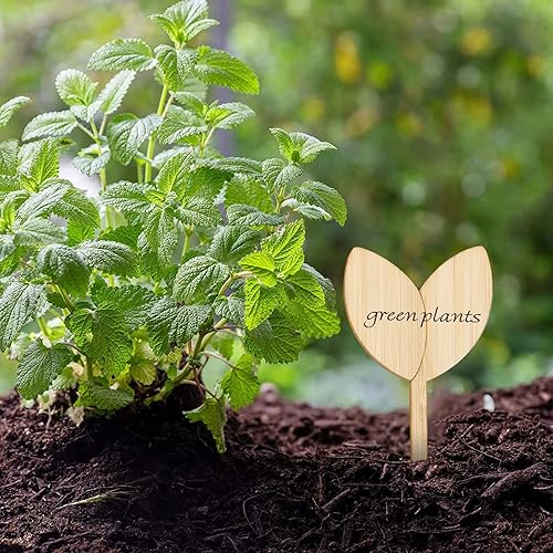 Miniatura 5 de Colovis 60 etiquetas de bambú para plantas, marcadores de plantas de jardín con bolígrafo, etiquetas para plantas de semillero, suculentas, vivero,