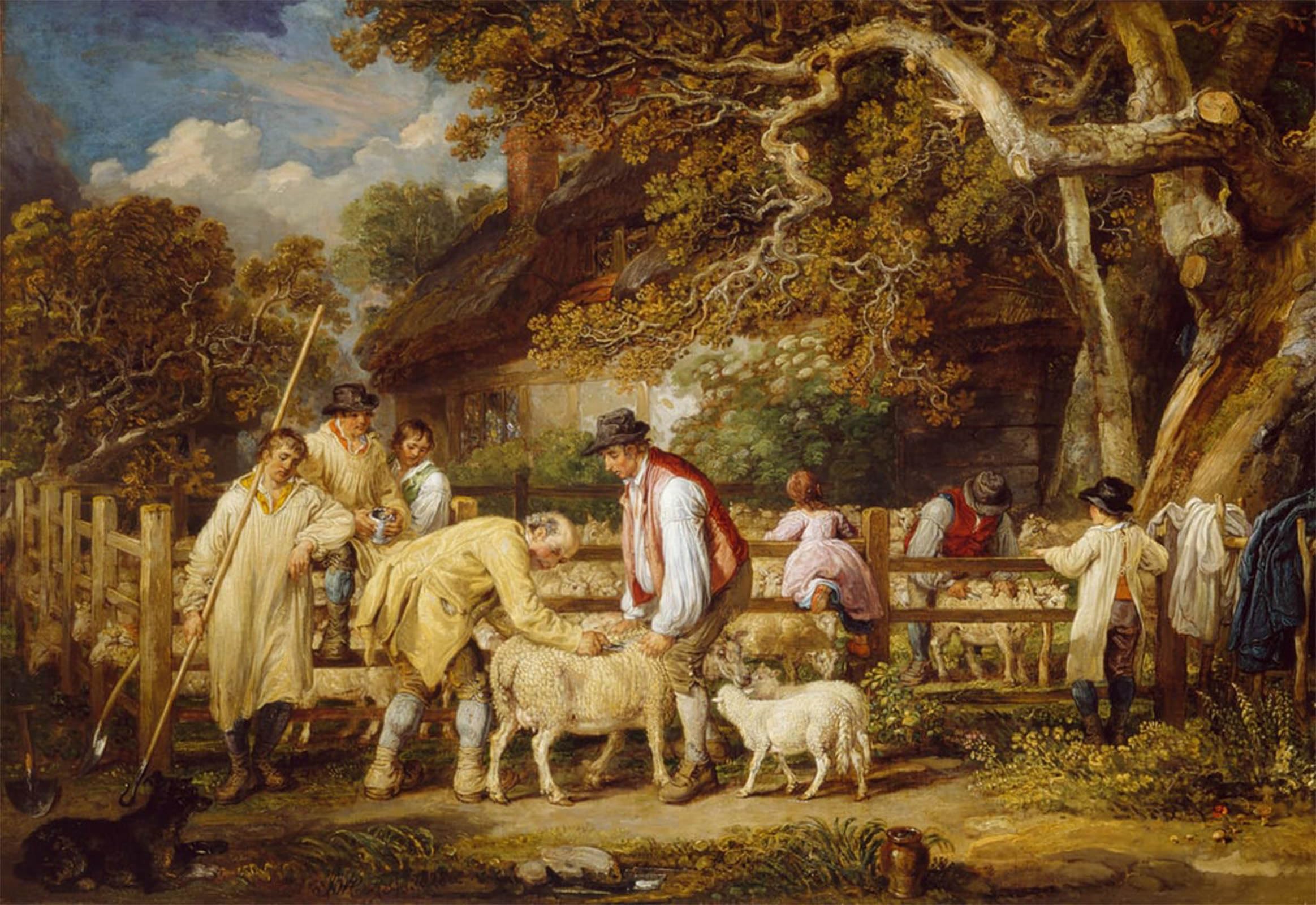 SERENDIPITP Vintage Picture Print on Canvas Wall Art Poster Sheep Salving by Famous Artist Artwork Print Poster for Wall Decor 60x90cm