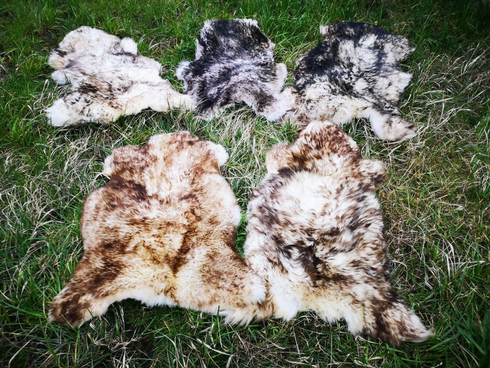 Echt Öko Schaffell Lammfell Fell Geflammt Bis 140cm 2.Wahl Schnäppchen (eher dunkel geflammt, 80-90cm lang)