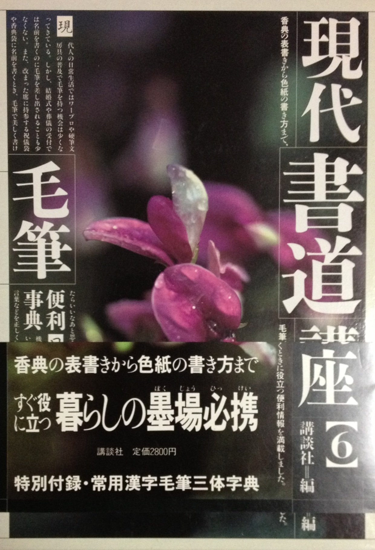 現代書道講座 (6) 毛筆便利事典 | 講談社 |本 | 通販 | Amazon