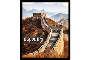Picrit 14x17 Picture Frame: Preserve Memories with Style and Elegance