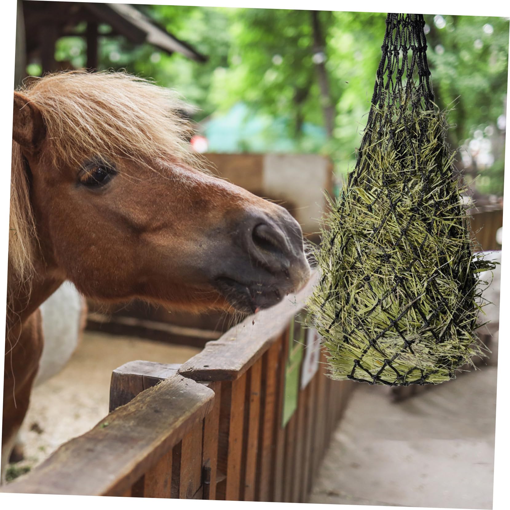 ibasenice 5 Piezas Bolsa de Alimentación Colgante Caballos Comedero Multifuncional de Malla Resistente Almacenamiento Capacidad de Limpiar y Transportar