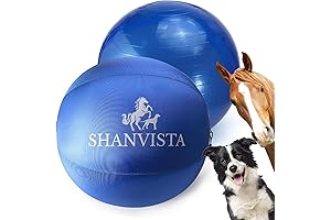 Herding Ball for Australian Shepherds