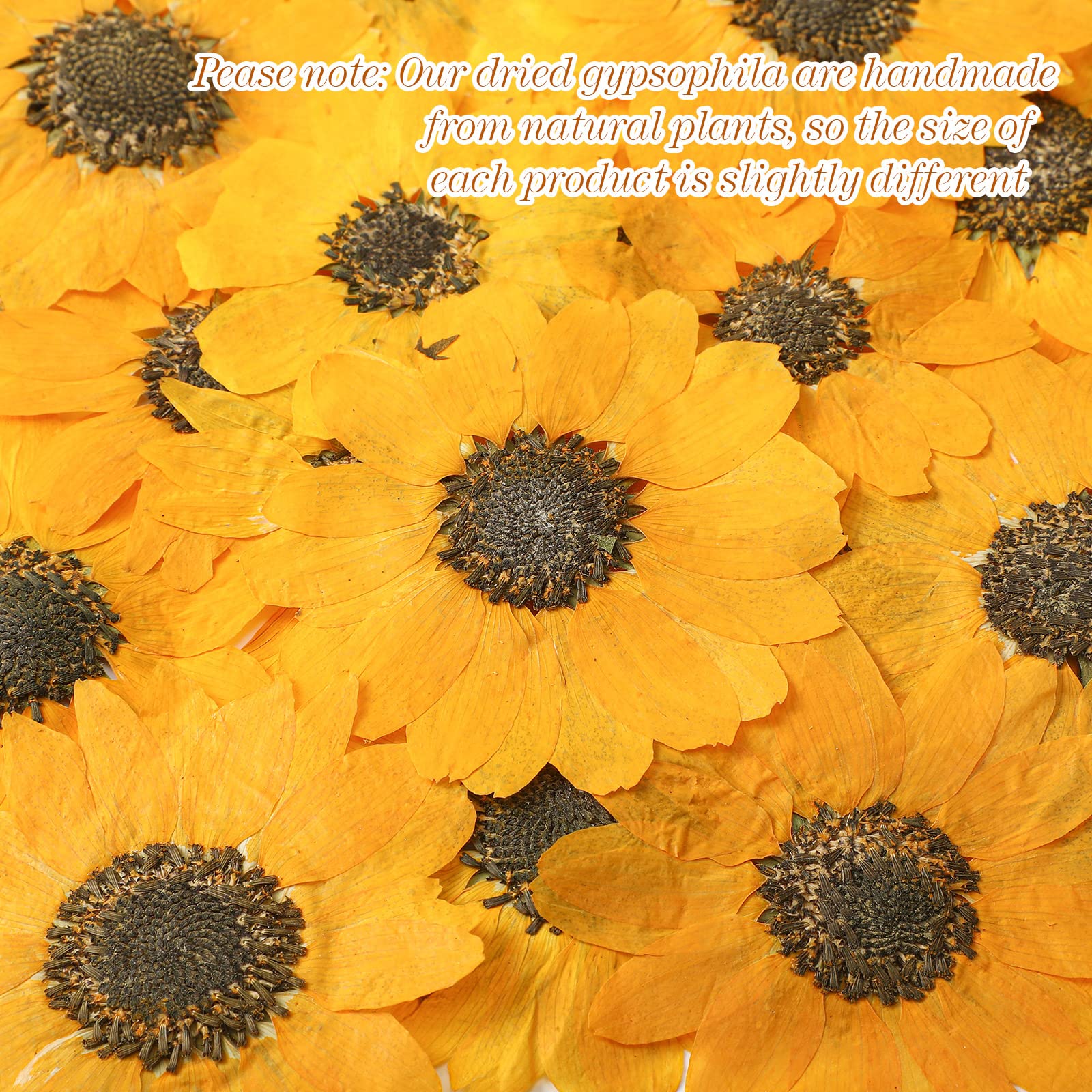 Gepresste Blumen zum Basteln, getrocknete, gepresste Sonnenblumen für Harz, Mini-Sonnenblumen, echte Natur, getrocknete Sonnenblumen, Großpackung, gelbe getrocknete Sonnenblumenblätter für Schmuck