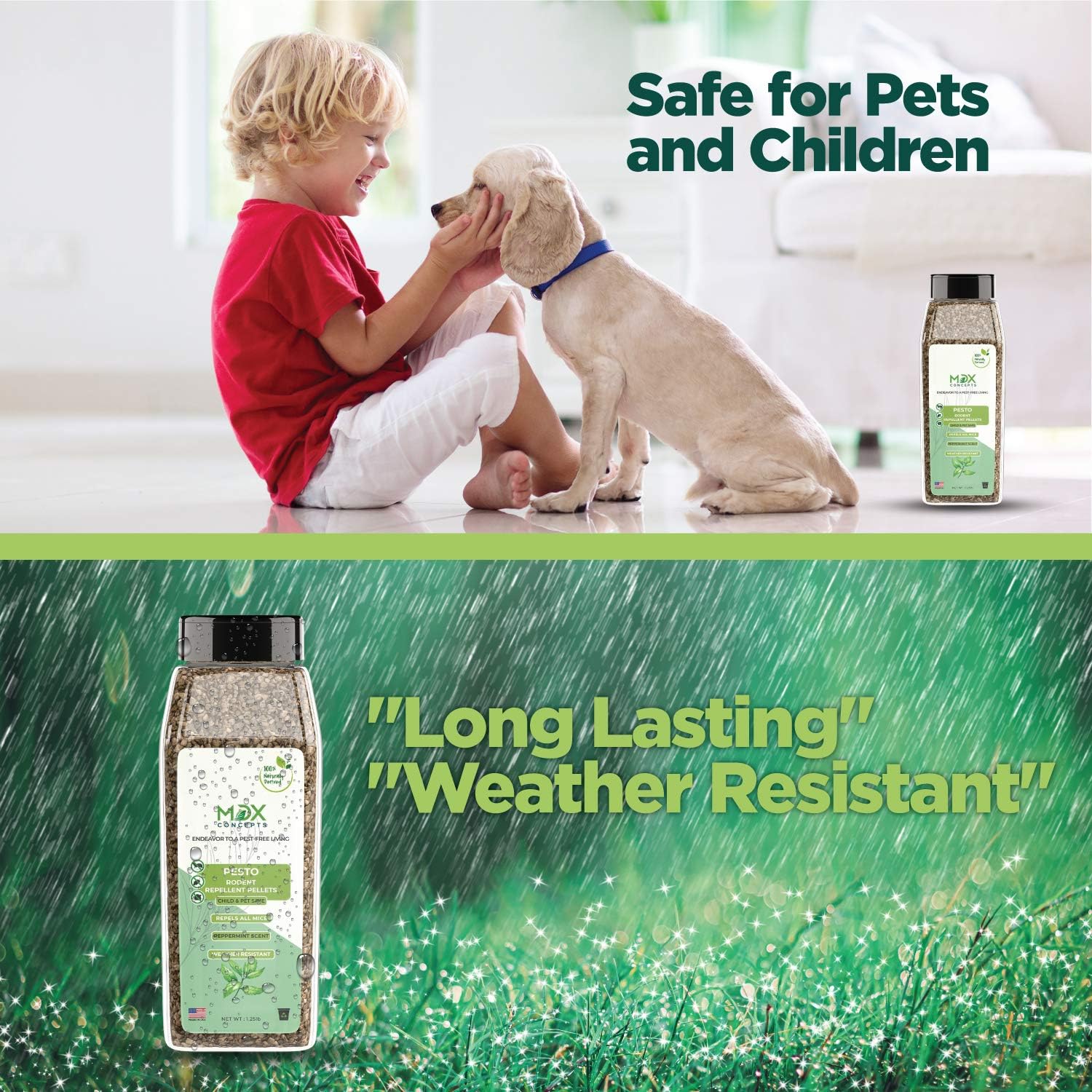 MDXconcepts Pesto Rodent Organic Peppermint Oil Pellets –Made in USA - 100% Naturally Derived – Effective for Up to One Year – Gets Rid of All Mice and Rats - 1.25lbs : Patio, Lawn & Garden