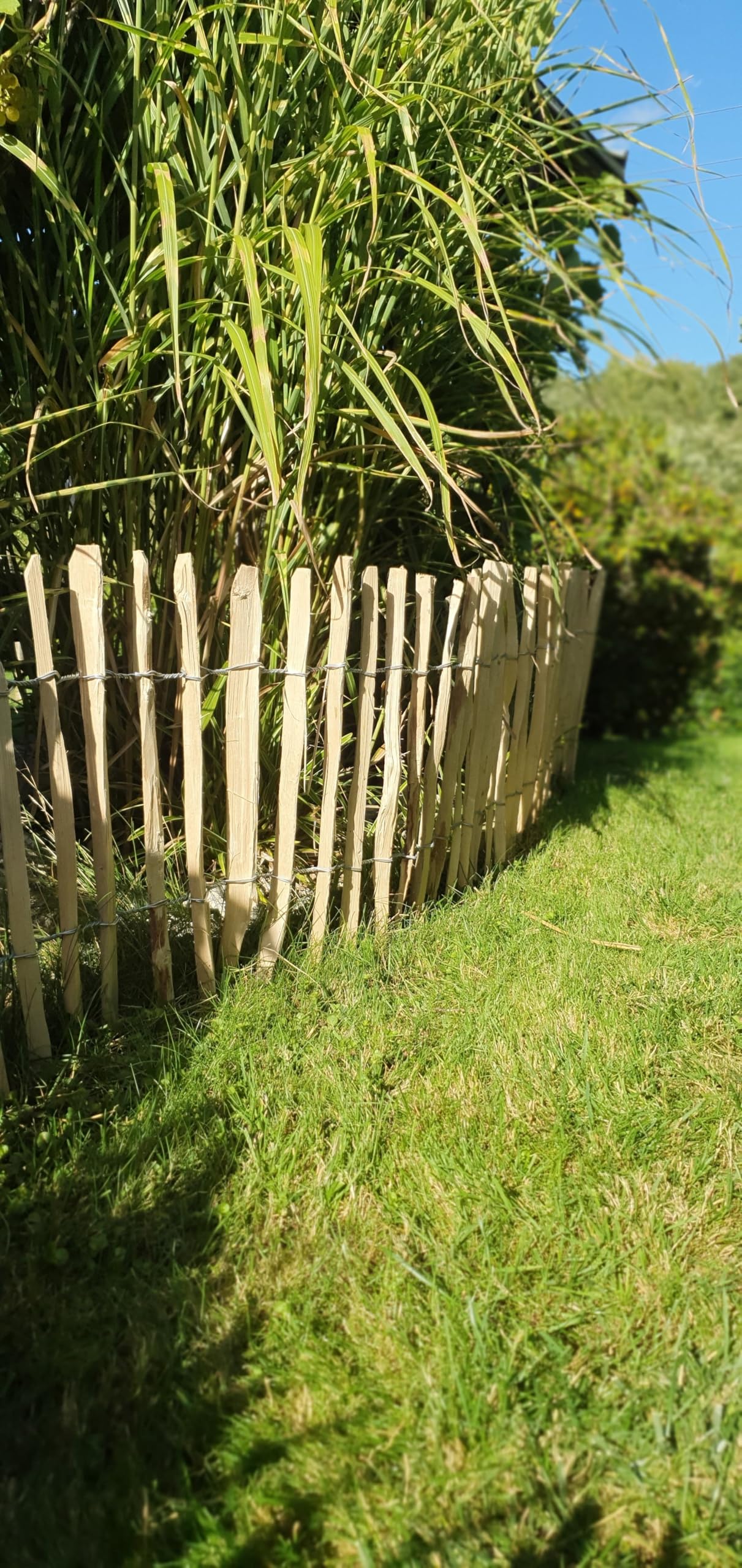 Clôture déroulable en bois de noisetier dans 13 tailles 60 x 500 cm ( Lattenabstand 3-5 cm ) naturel