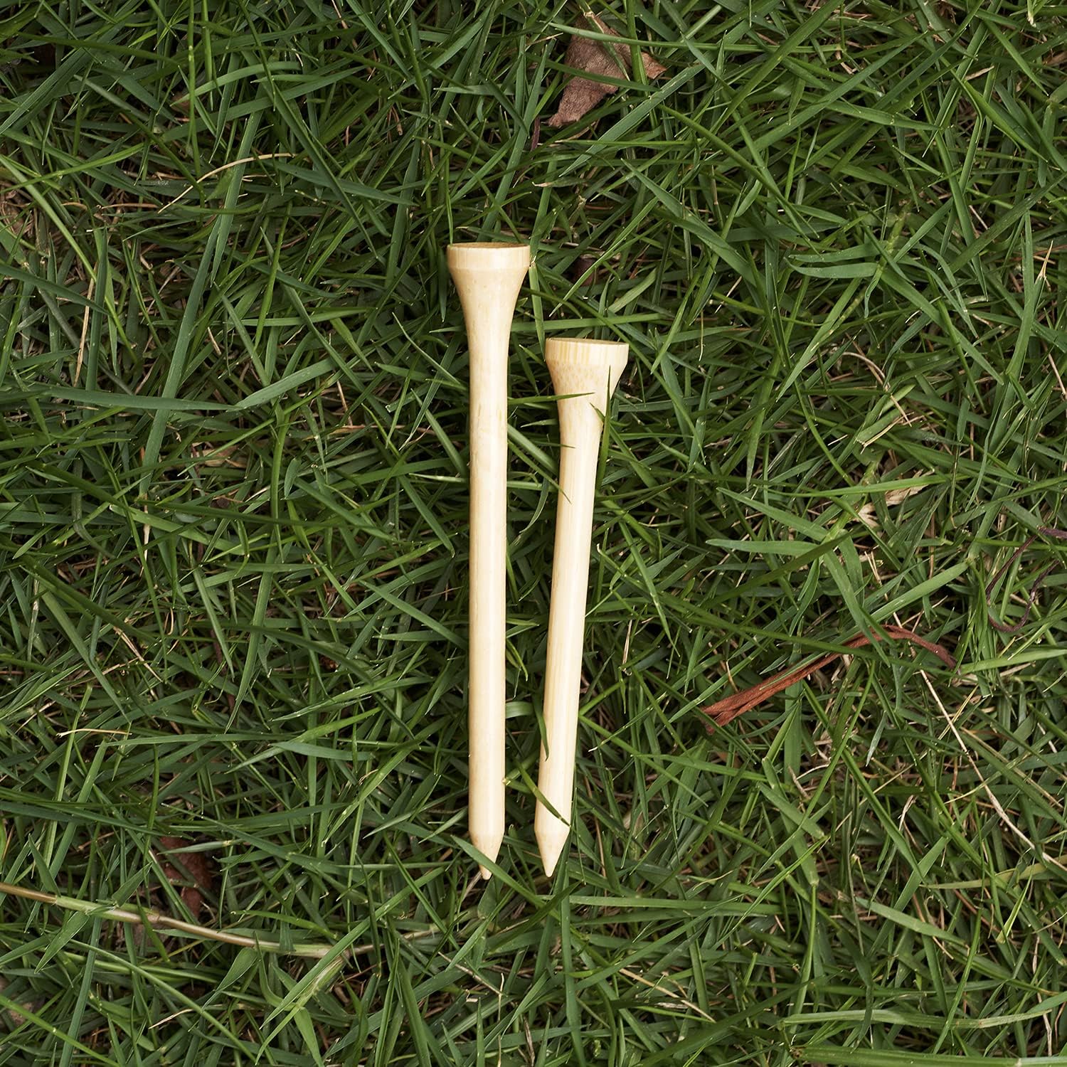 Professional Bamboo Golf Tees 100 Pack - More Durable & Stable Than Wood Tees Biodegradable & Less Friction Tee System 2-3/4 Inch : Sports & Outdoors