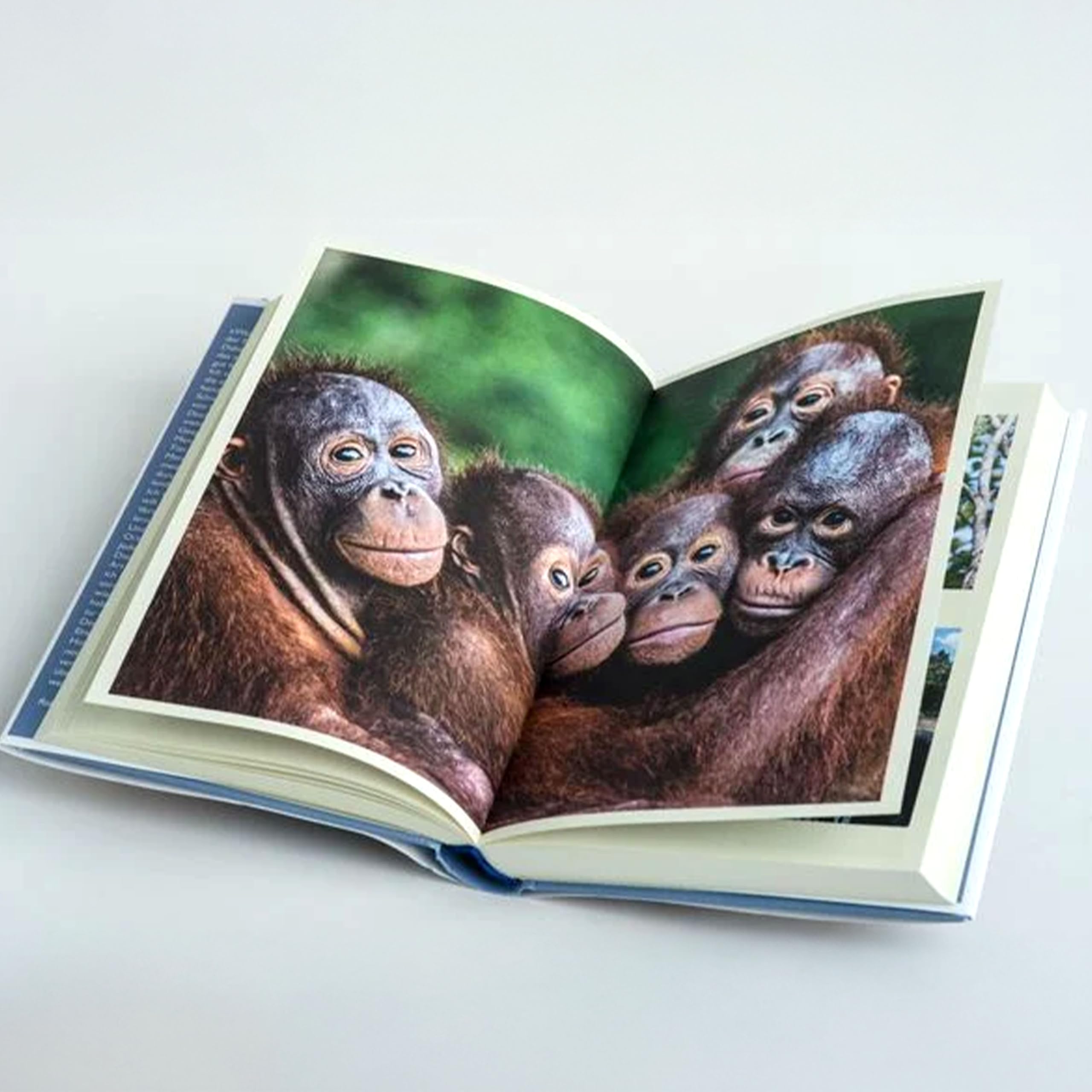 Mission Erde: Die Welt ist es wert & Meer als nur ein Bildband, SPIEGEL-Bestseller-Autor Robert Marc Lehmann Bücher-Set - Abenteuer, Expeditionen & bedrohte Tierarten