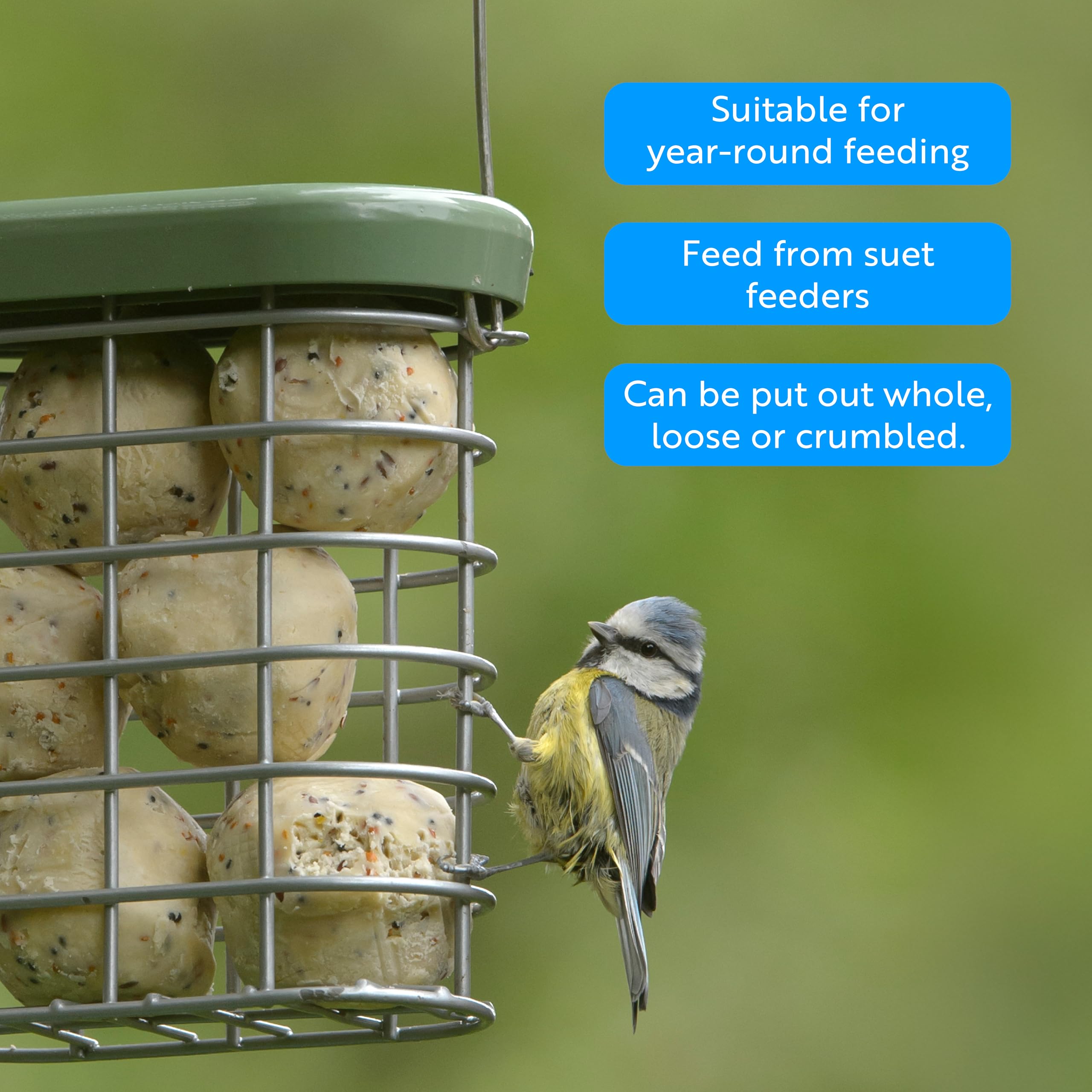 RSPB - Palline di grasso, cibo per uccelli da esterno, palline di suet ad alta energia con vermi della farina, prodotte nel Regno Unito, deliziose e nutrienti, adatte per l'alimentazione tutto l'anno