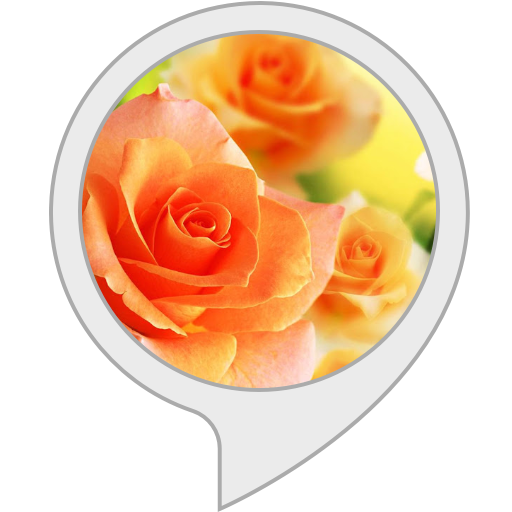 Amazon.co.uk Flower Screensaver for Echo Show Alexa Skills