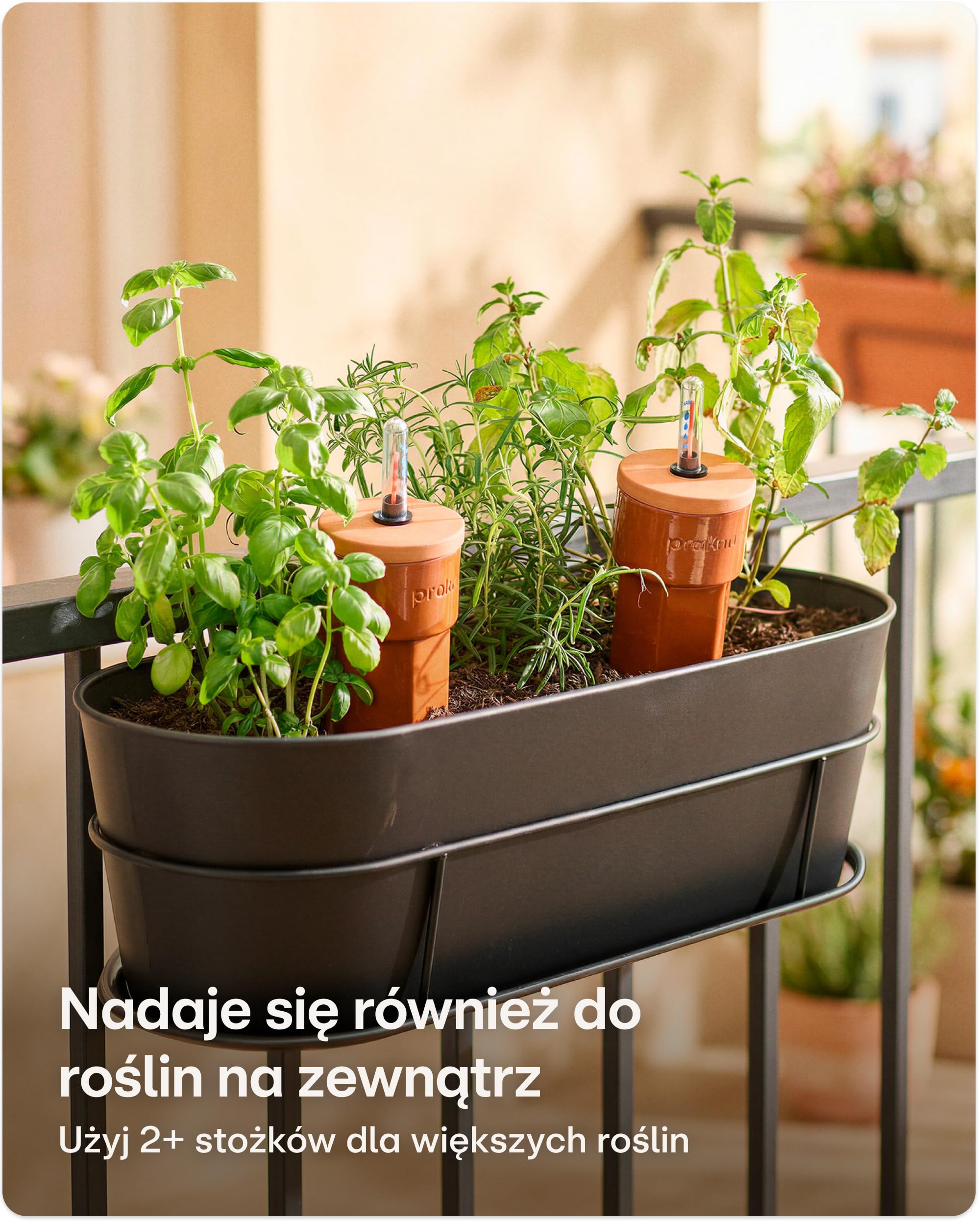 Praknu 3 x Stożki Gliniane do Nawadniania z Pokrywką i Wskaźnikiem Poziomu Wody – do 10 Dni Automatycznego Podlewania – Łatwe Czyszczenie – Dozownik Wody na Czas Urlopu | Łatwe czyszczenie, automatycznie zasila rośliny pokojowe na urlopie, do użytku w pom