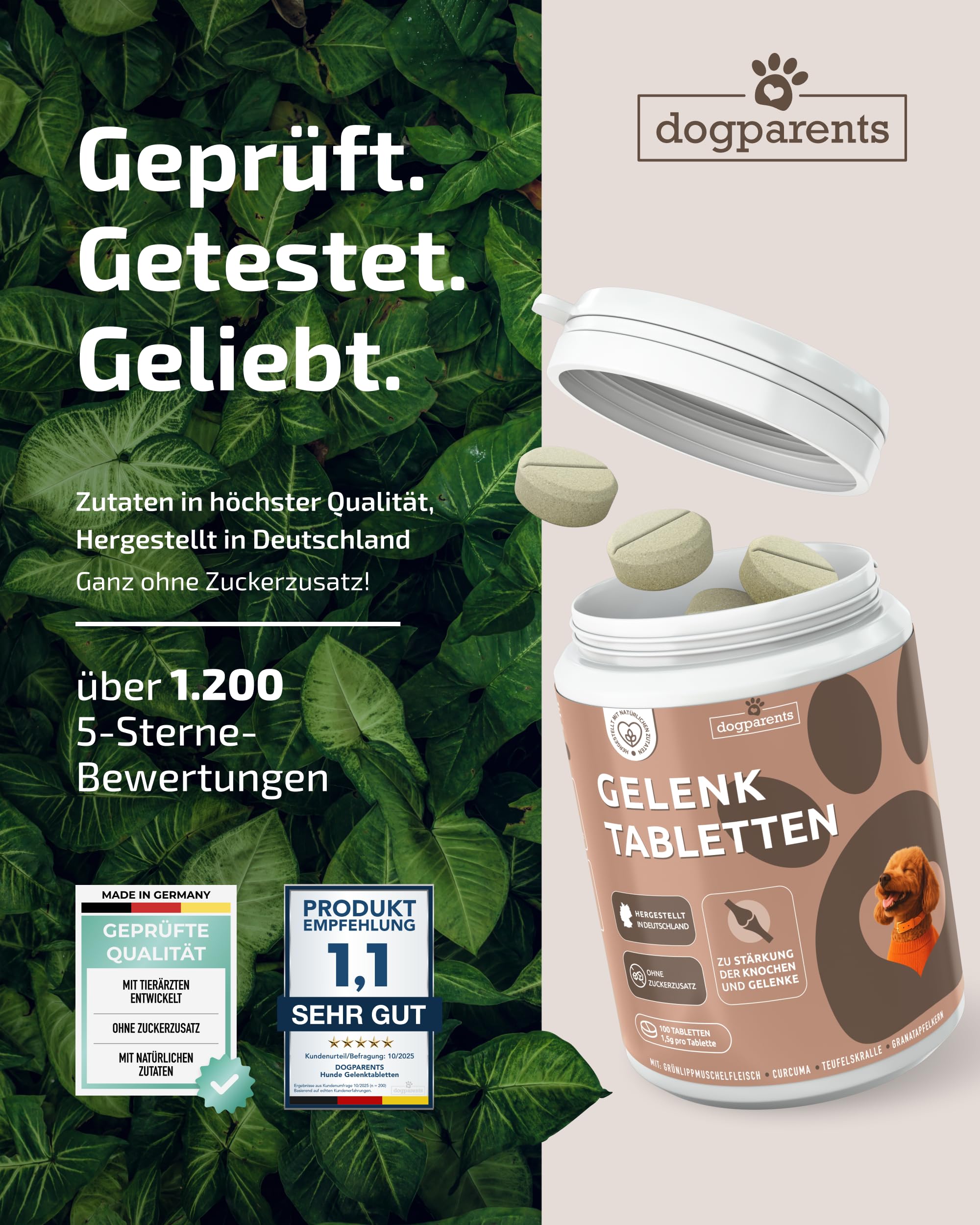Gelenktabletten Hund [MADE IN GERMANY, ZUCKERFREI & LABORGEPRÜFT] Hochwirksame Formel mit Grünlippmuschel, MSM, Glucosamin, Curcuma, Granatapfel & Teufelskralle für Knochen & Gelenke (150g (1er Pack))