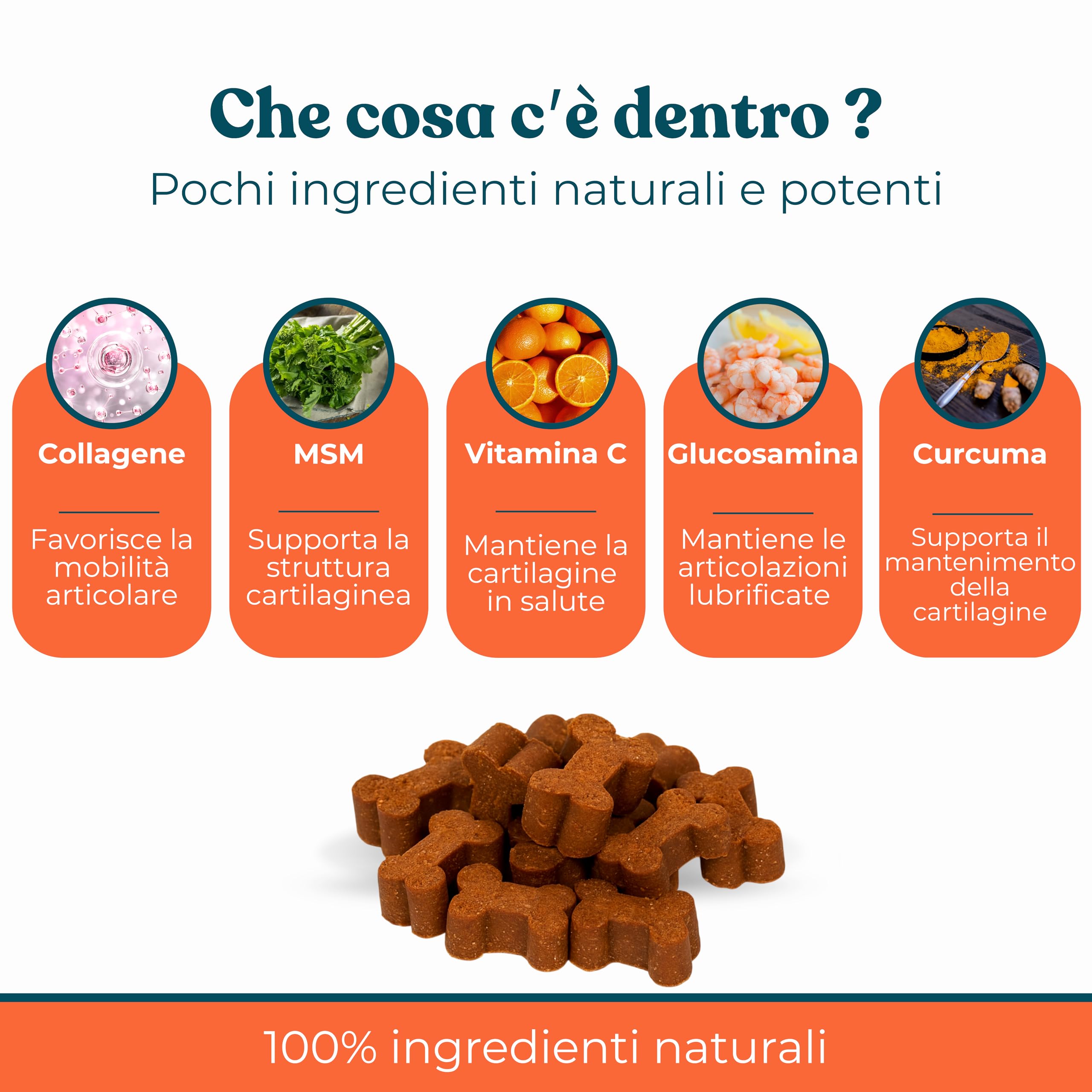 Integratori per Cani Ossa e Articolazioni Gusto Manzo - Integratore Articolazioni Cane per Favorire Lo Sviluppo o Mantenere la Mobilità