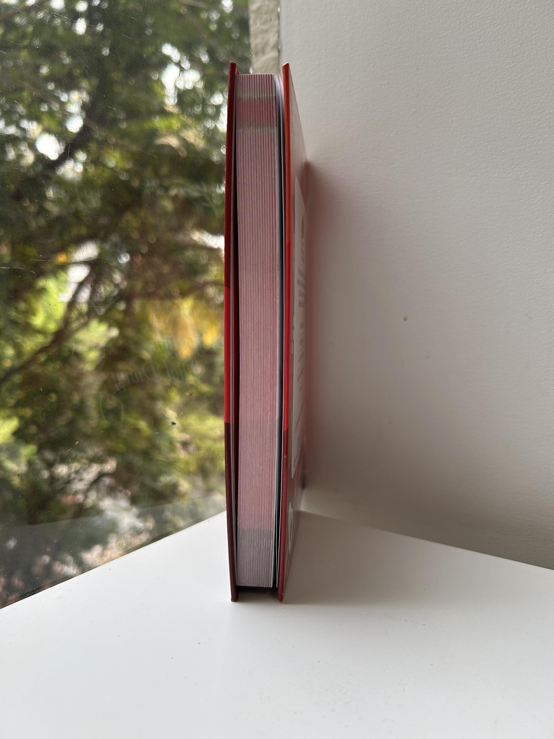 NUTRACY LIFESTYLE Diet Diary | Gratitude & Affirmation Notebook | Food Journal & Daily Planner | Perfect Bound 3