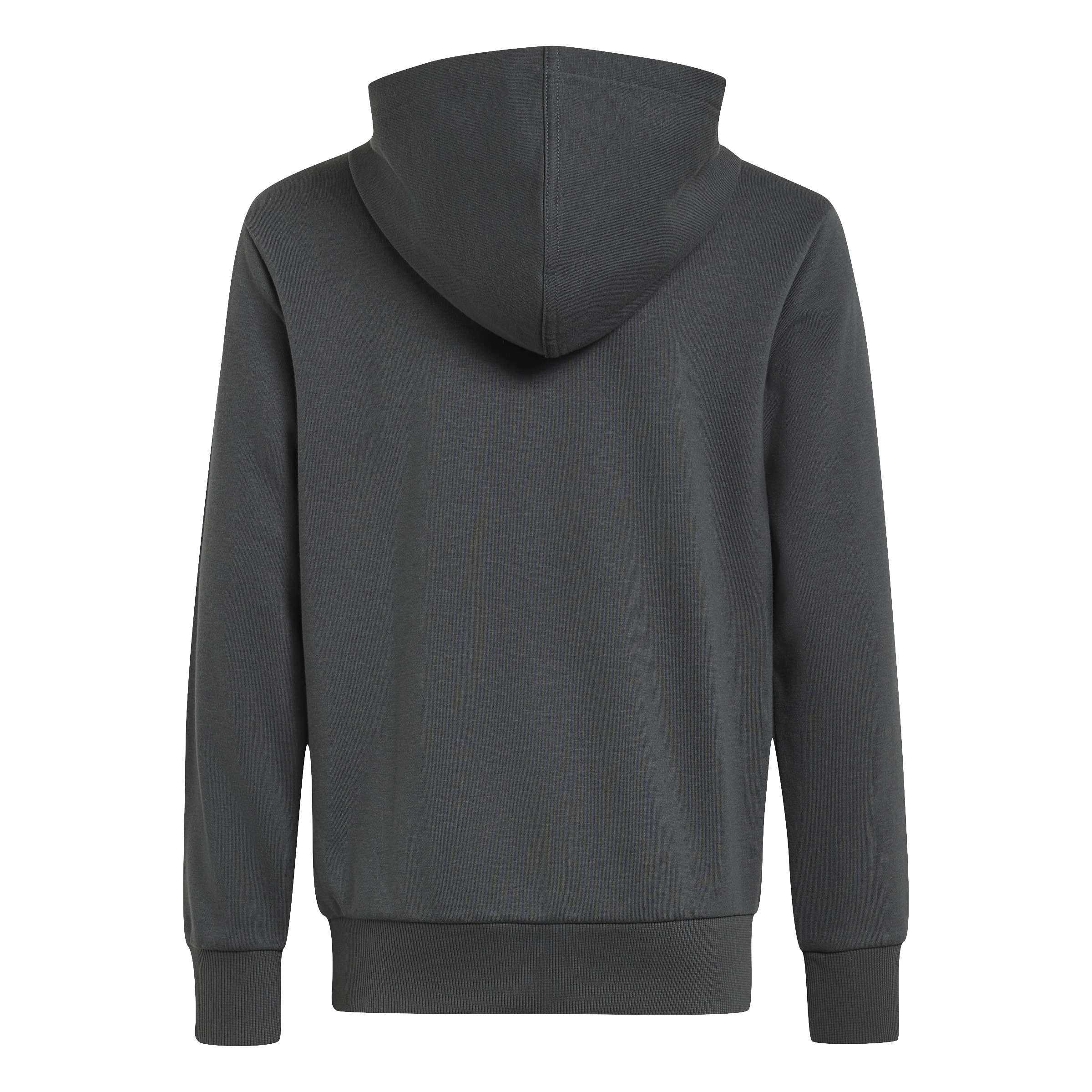 adidas Uniseks - dzieci Essentials Big Logo Hoodie Sweatshirt, grey six/black, 15-16 Years