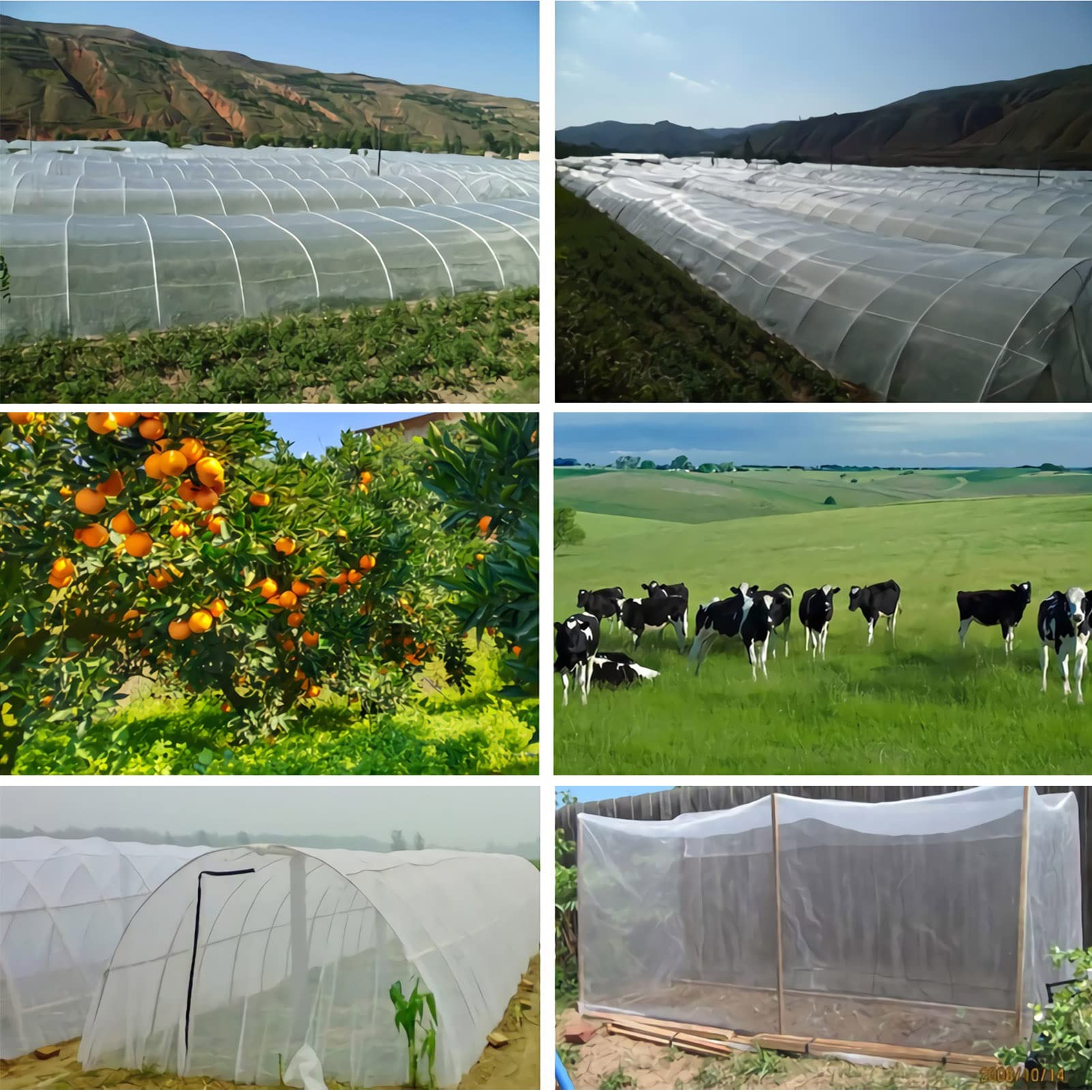 Rete per insetti a maglie strette， Garden Netting 4x7m for Vegetables Plants Fruits Flowers