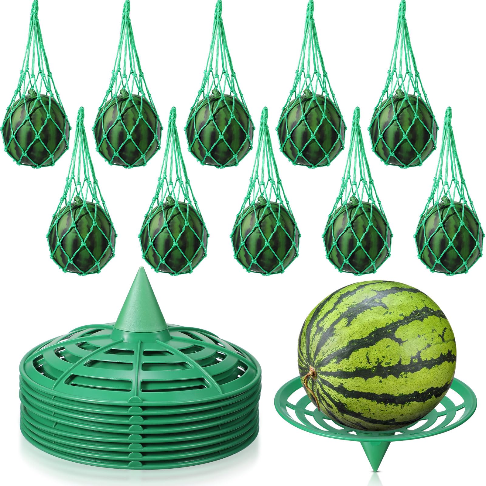 Berceaux pour citrouille et melon au potager | Protégez vos cultures verticales de la pourriture