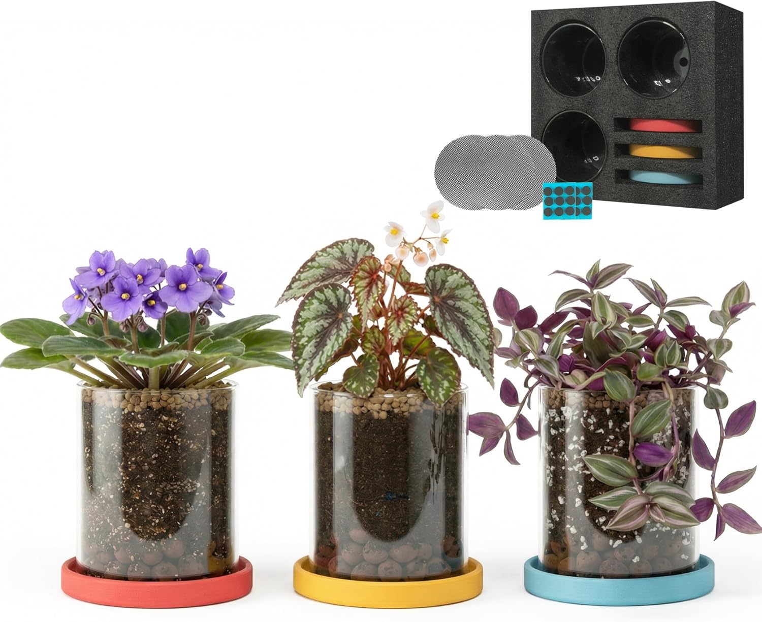 3-Pack 4 Inch Clear Glass Plant Pots with Drainage and Ceramic Trays, Indoor Herb Planters for Home Office, Succulents & Small Plants