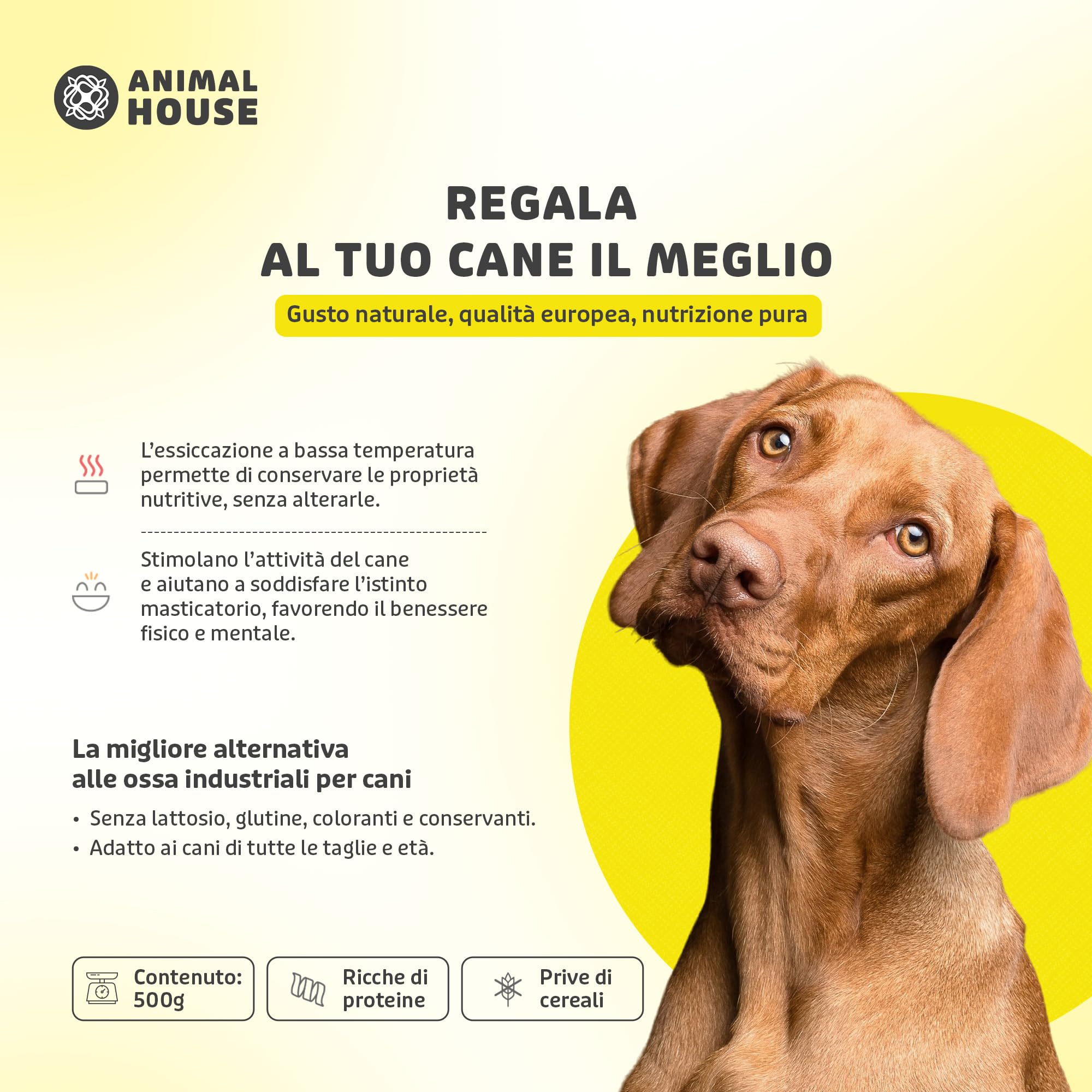 Animal House - Snack Naturale per Cani BARF alle Orecchie Suine, Delizia Proteica Europea per il Benessere del Tuo Amico a Quattro Zampe (500 GR, ORECCHIE SUINE)