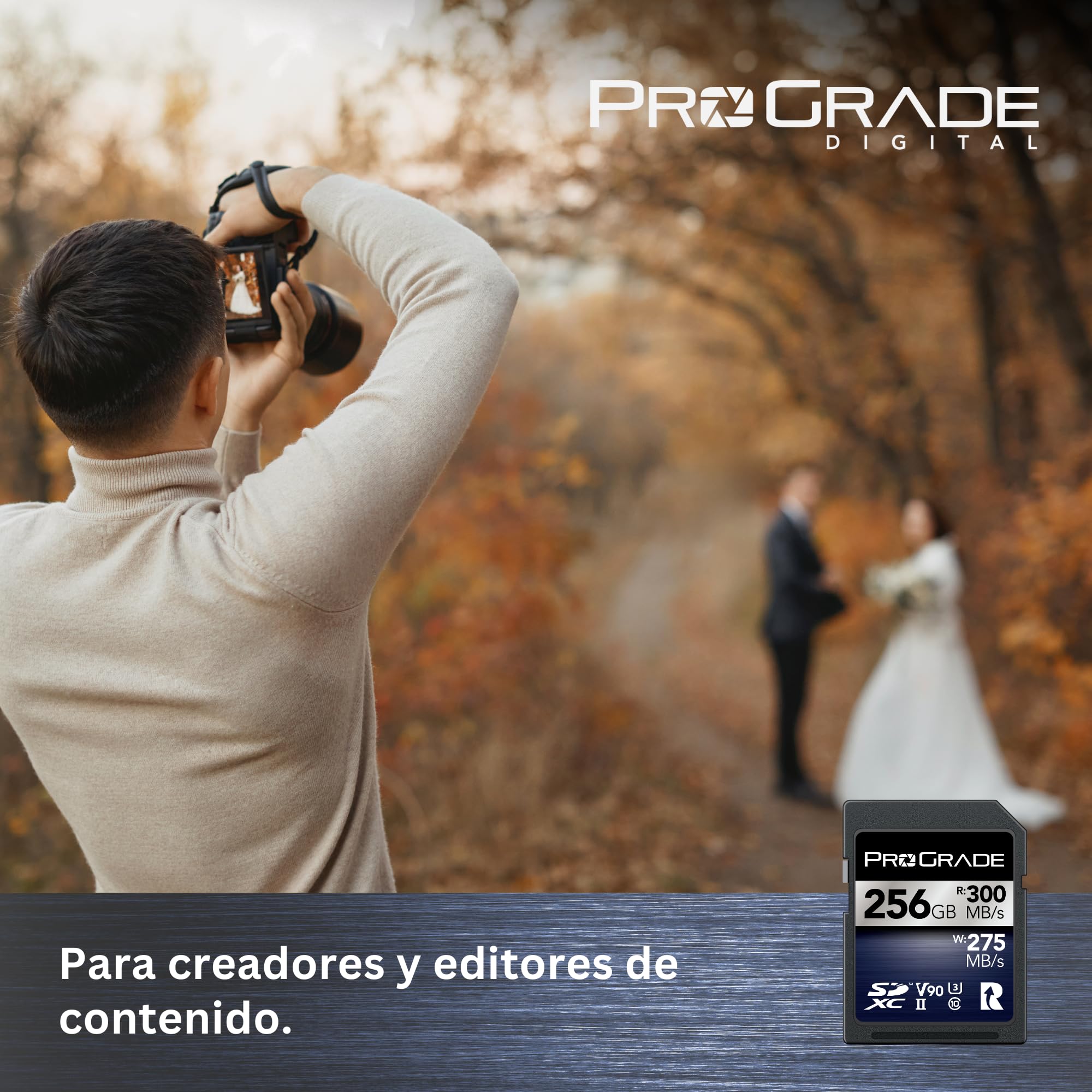 Tarjeta de Memoria ProGrade Digital SDXC UHS-II V90 Iridium (256GB)