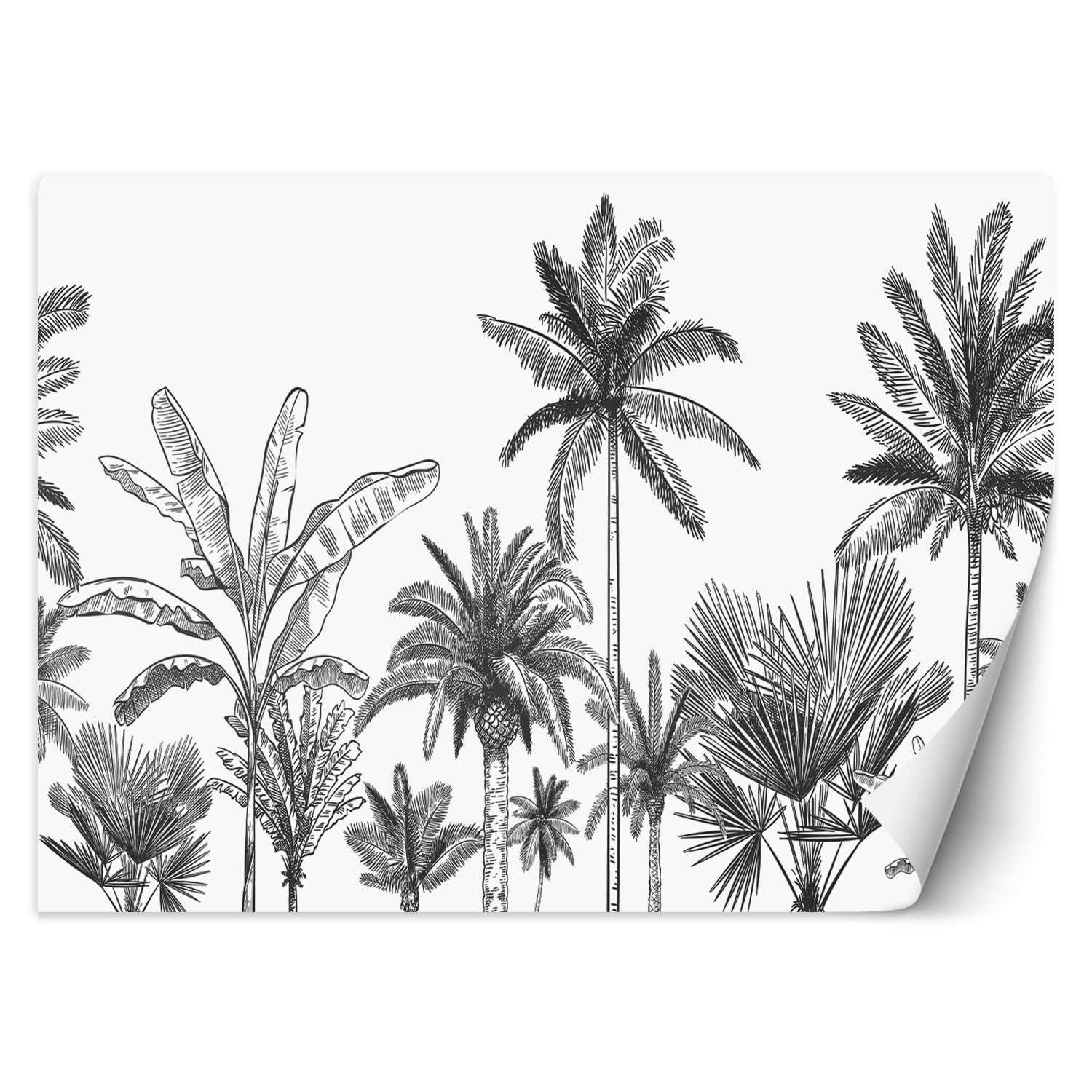 Papier peint intissé abstrait noir et blanc style esquisse tropicale moderne