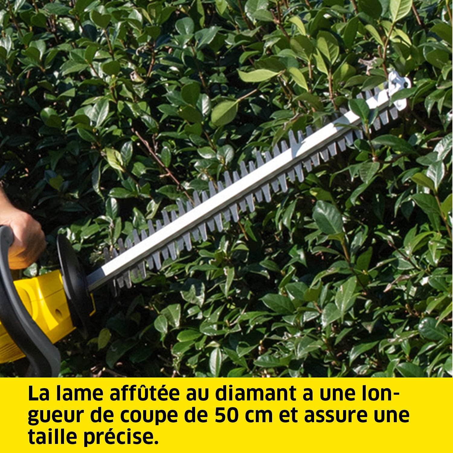 Kärcher 18 V Taille-Haies sans Fil HGE 18-50, Longueur de Coupe : 50 cm, Lame Affûtée au Diamant, Poignée Orientable, Collecteur de Déchets, Autonomie : 325-650 m, Batterie Kärcher 18 V non Incluse