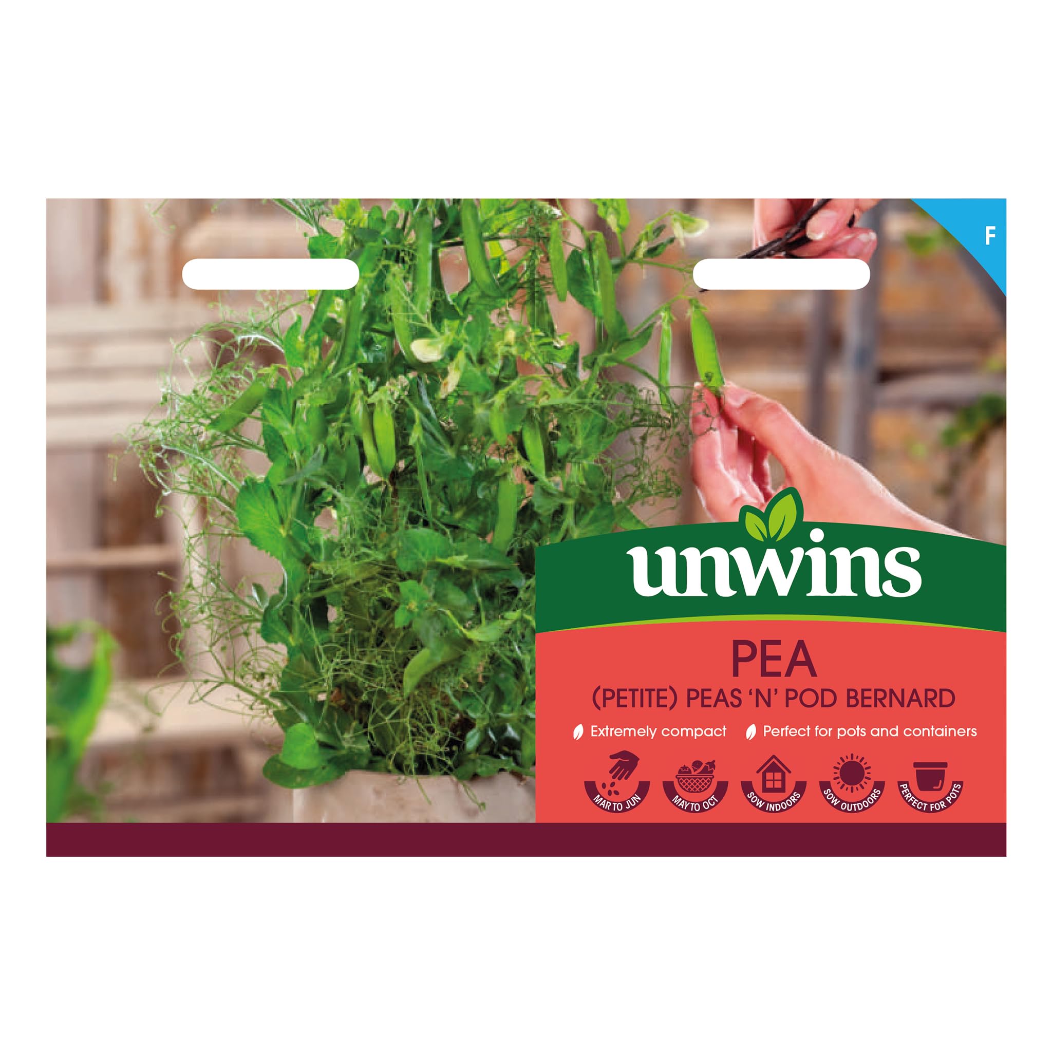 Peas ‘N’ Pod Bernard – Easy-Grow Garden Pea Seeds