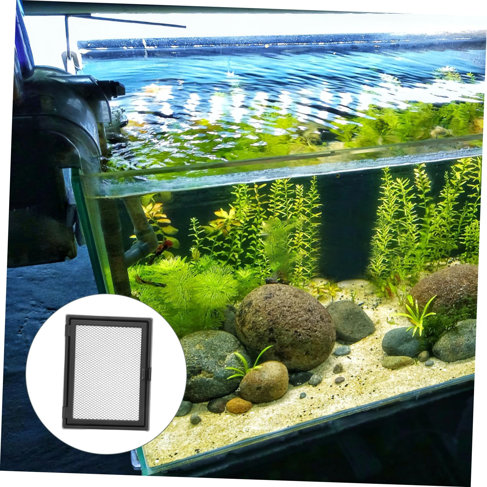 COLLBATH Coperchio in Rete per Acquario Copertura Magnetica Ricambio Adatto A Serbatoi d'Acqua Dolce E Marine Sicurezza Anti-Salto per Pesci Betta E Rettili