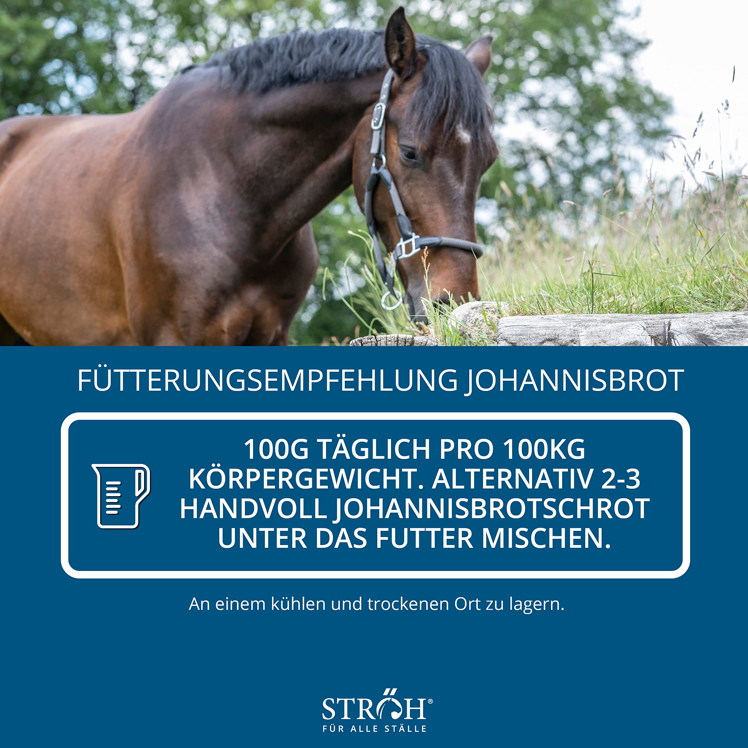 STRÖH Johannisbrot für Pferde - 26kg Feedbox - 100% Natürlich, ohne Zusätze | Bei Durchfall, Kotwasser, Darm- & Verdauungsproblemen - Mit Ballaststoffen - Natürlich süßer Geschmack - Wenig Zucker & Fett