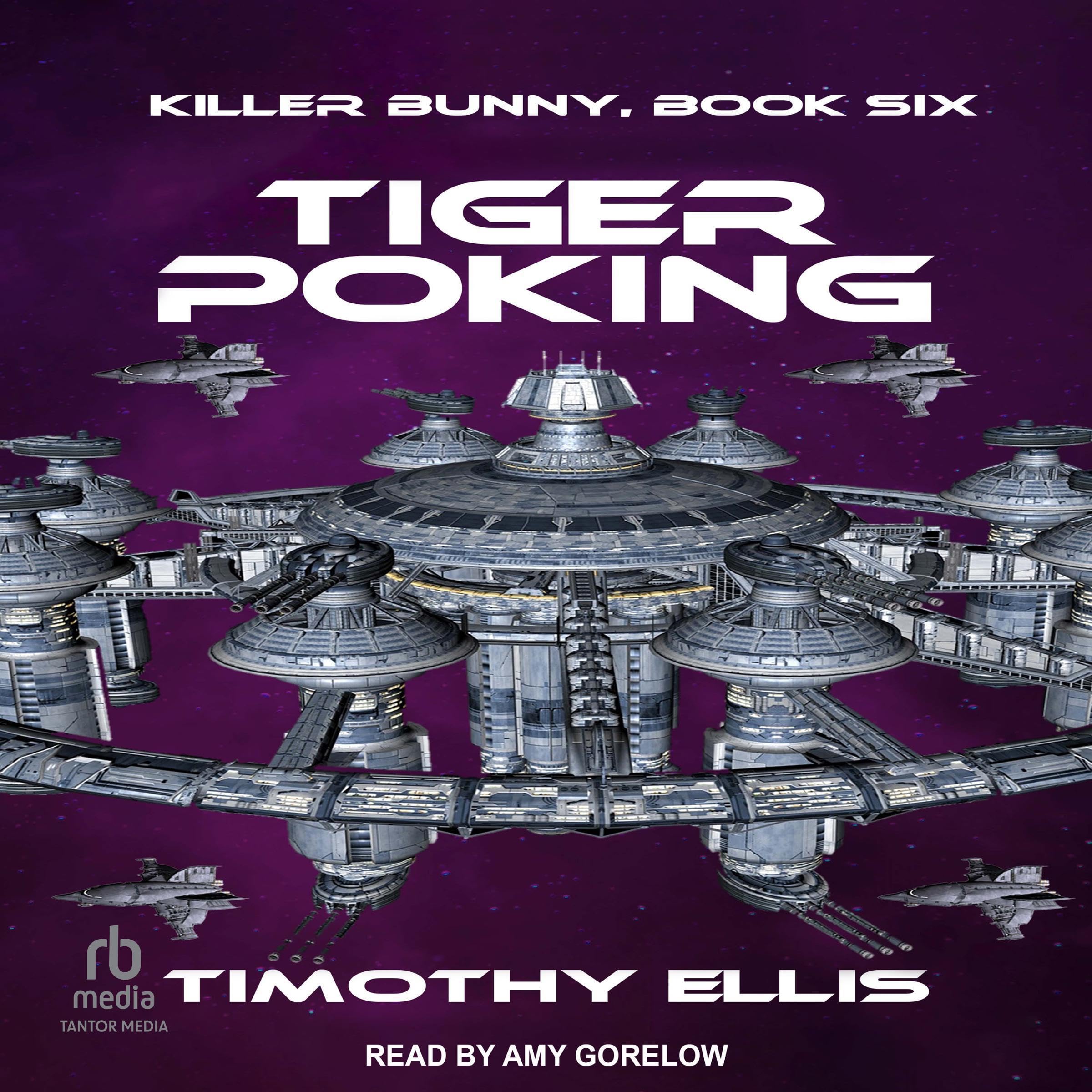 Cover art for Tiger Poking