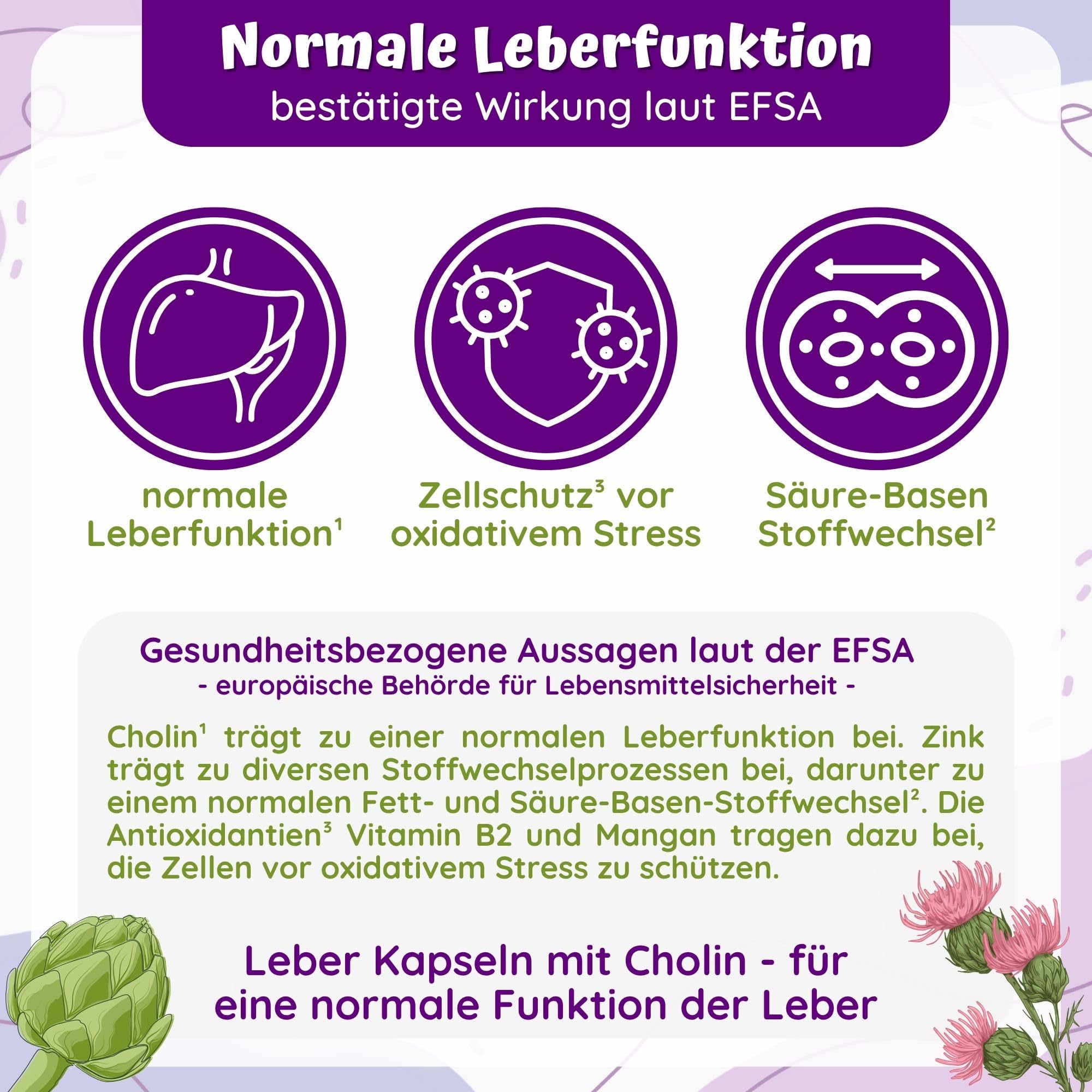 Leber-Kur Kapseln - Leber-Komplex Mariendistel Artischocke Löwenzahn Cholin