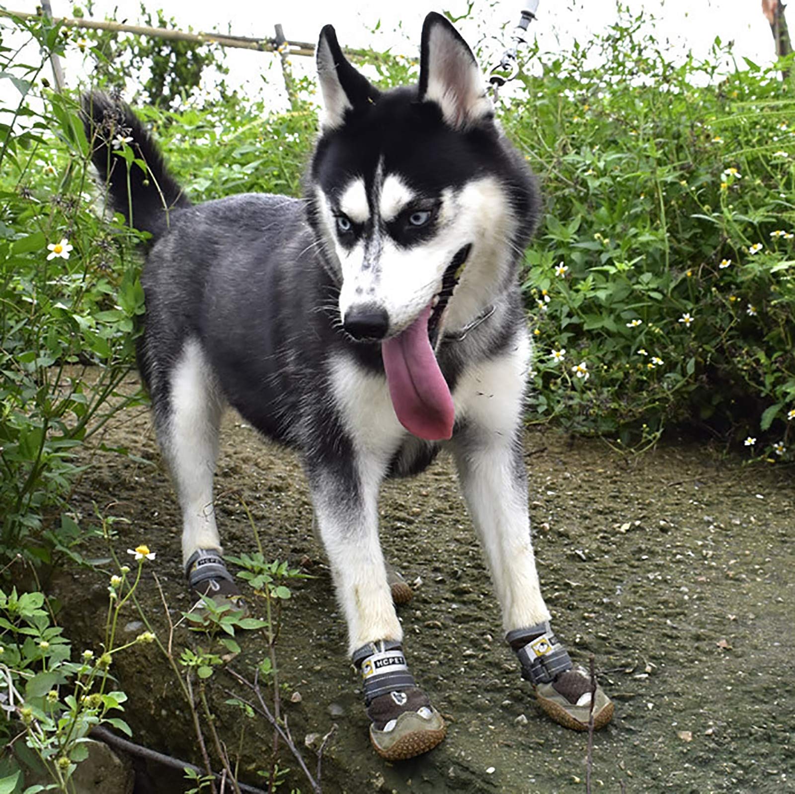 Scarpe per Animali Domestici, Occhiali per Cani Stivali Traspiranti per Cuccioli Stivali Antiscivolo da Neve per Cani da Compagnia per Cuccioli Caldi Scarpe da Pioggia per Cani,Giallo,6#6.5cm