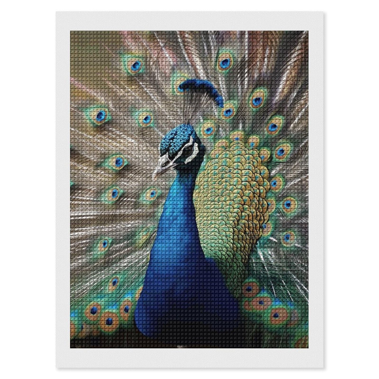 Amazon.com: RKJVB Diamond Painting Kits for Adults The Peacock
