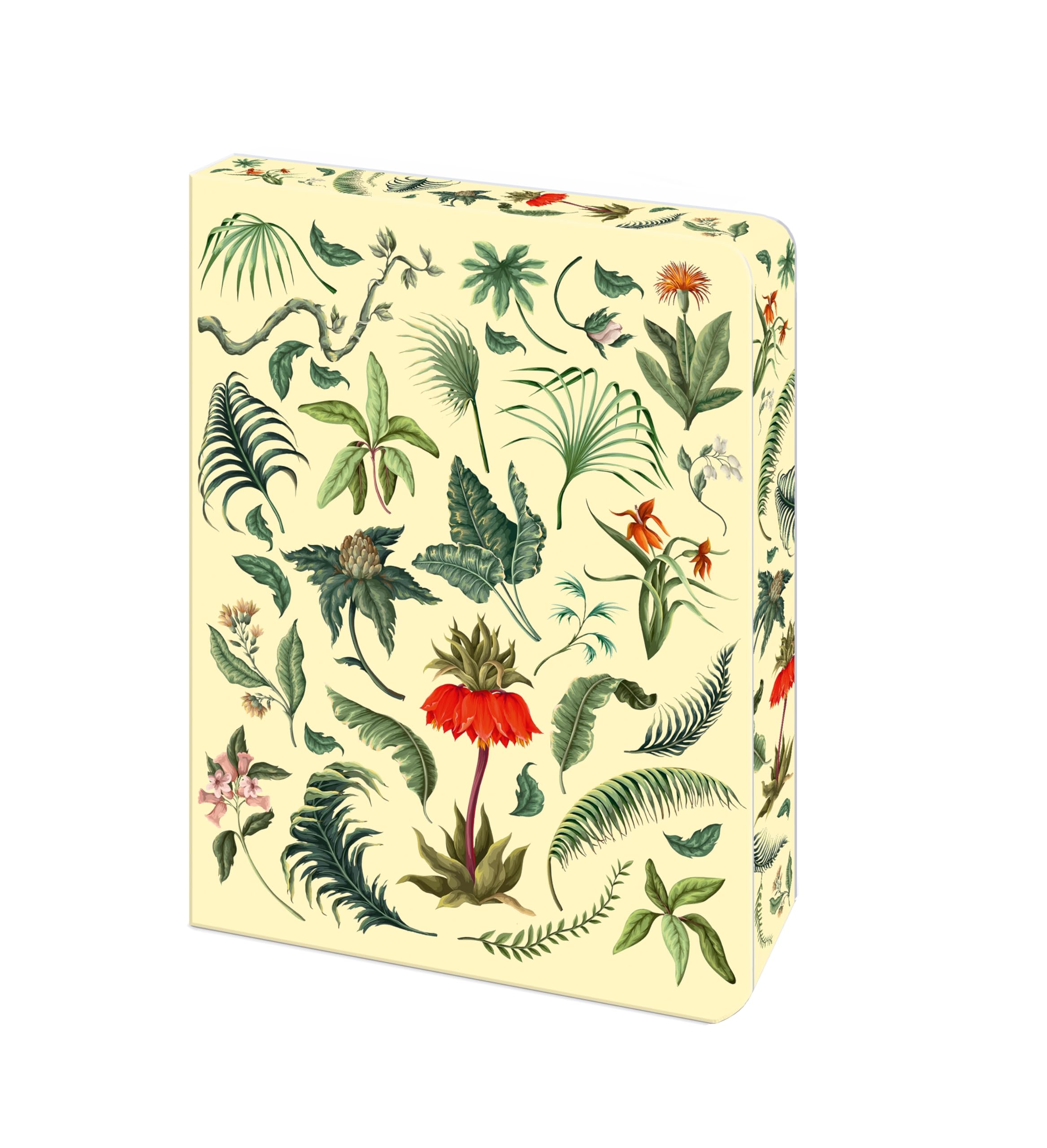 The Fern Journal: Blank Lined Notebook (Arcturus Vintage Journals)